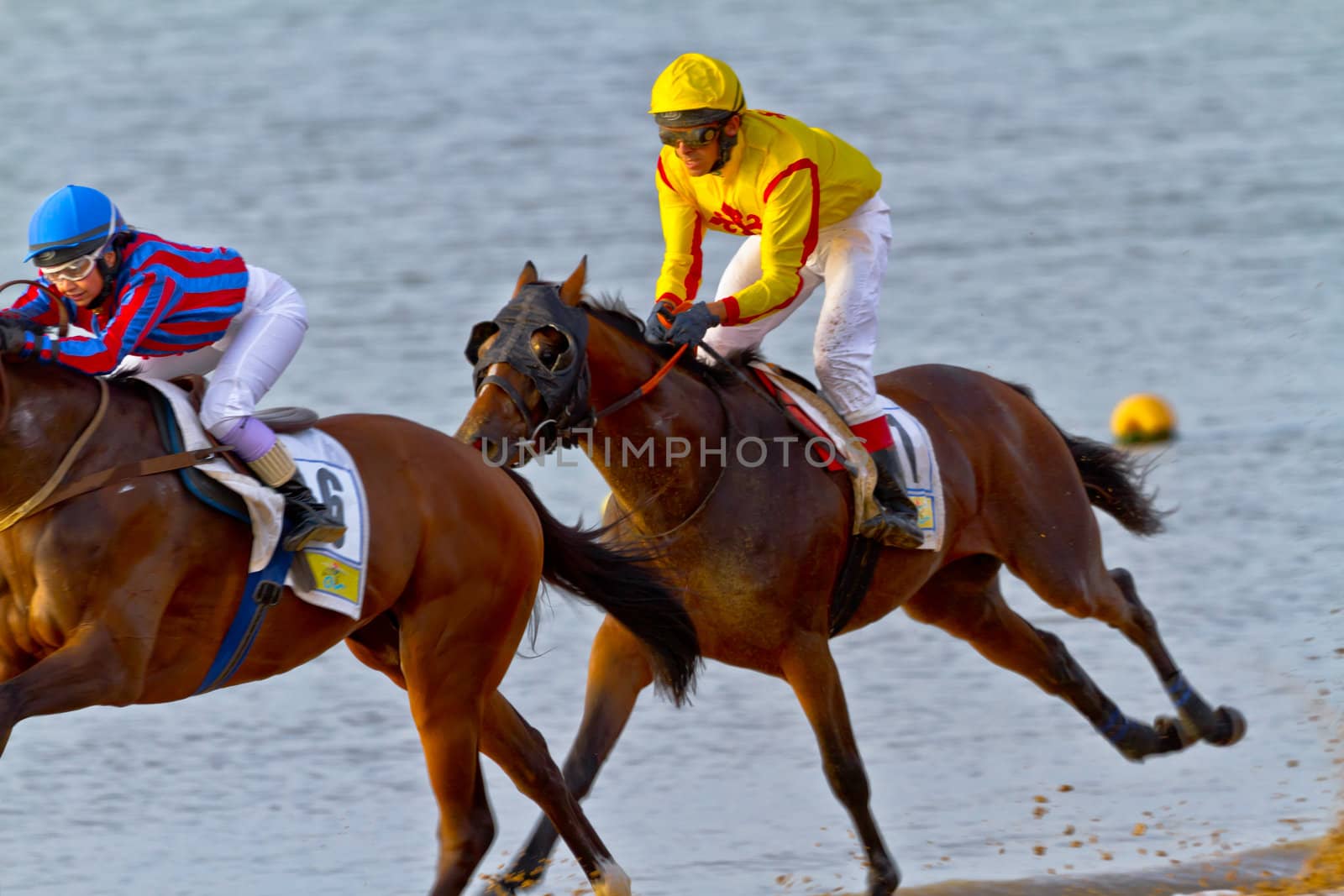 SANLUCAR DE BARRAMEDA, CADIZ, SPAIN - AUGUST 11: Unidentified riders race horses on Sanlucar de Barrameda beach on August 11, 2011 in Sanlucar de Barrameda, Cadiz, Spain.