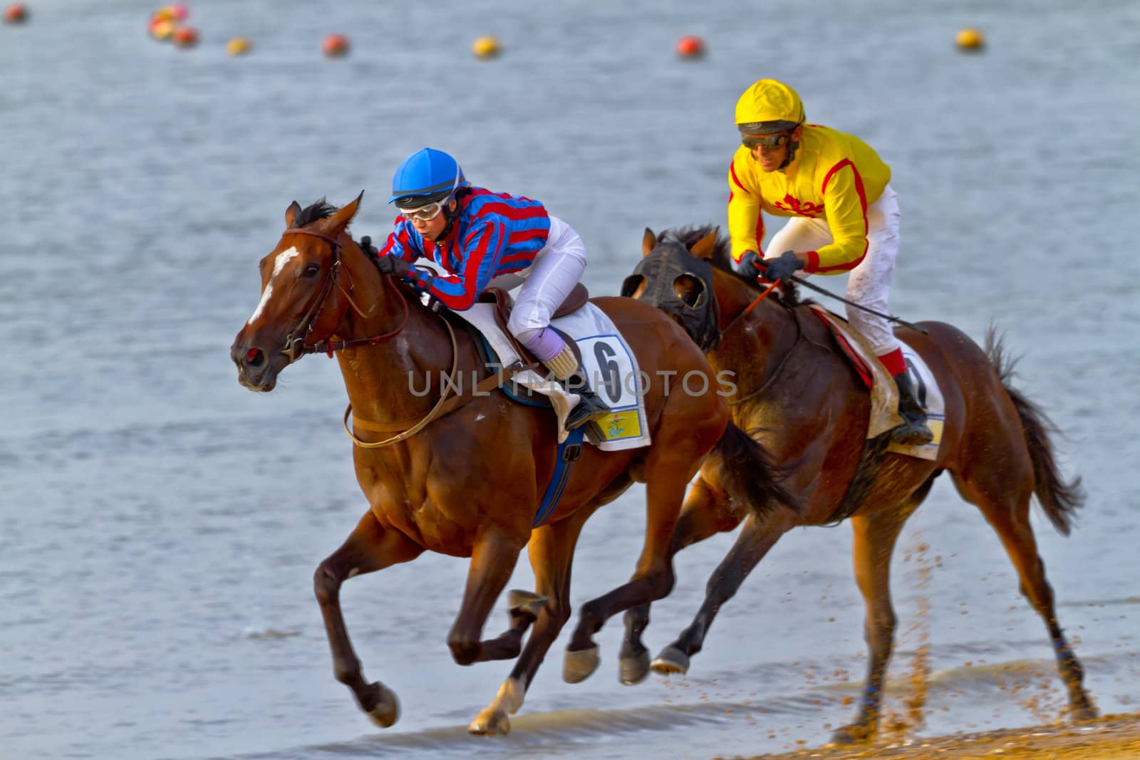 SANLUCAR DE BARRAMEDA, CADIZ, SPAIN - AUGUST 11: Unidentified riders race horses on Sanlucar de Barrameda beach on August 11, 2011 in Sanlucar de Barrameda, Cadiz, Spain.