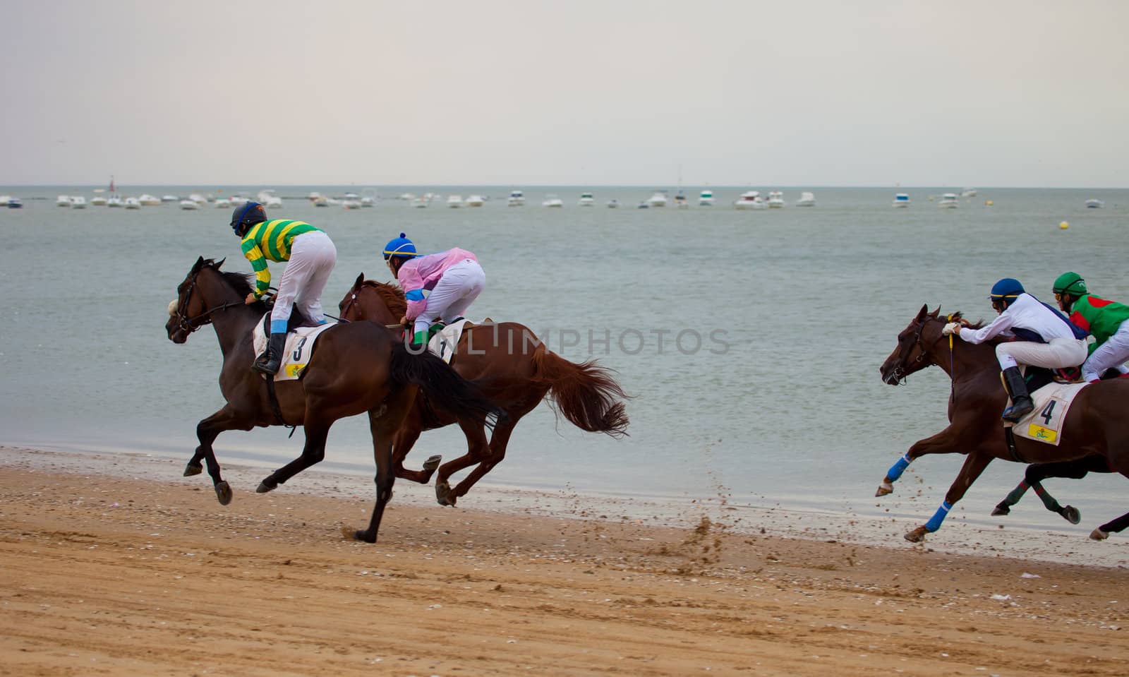 SANLUCAR DE BARRAMEDA, CADIZ, SPAIN - AUGUST 07: Unidentified riders race horses on Sanlucar de Barrameda beach on August 07, 2010 in Sanlucar de Barrameda, Cadiz, Spain.