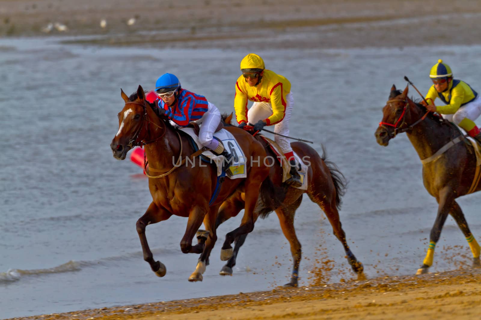 SANLUCAR DE BARRAMEDA, CADIZ, SPAIN - AUGUST 11: Unidentified riders race horses on Sanlucar de Barrameda beach on August 11, 2011 in Sanlucar de Barrameda, Cadiz, Spain.
