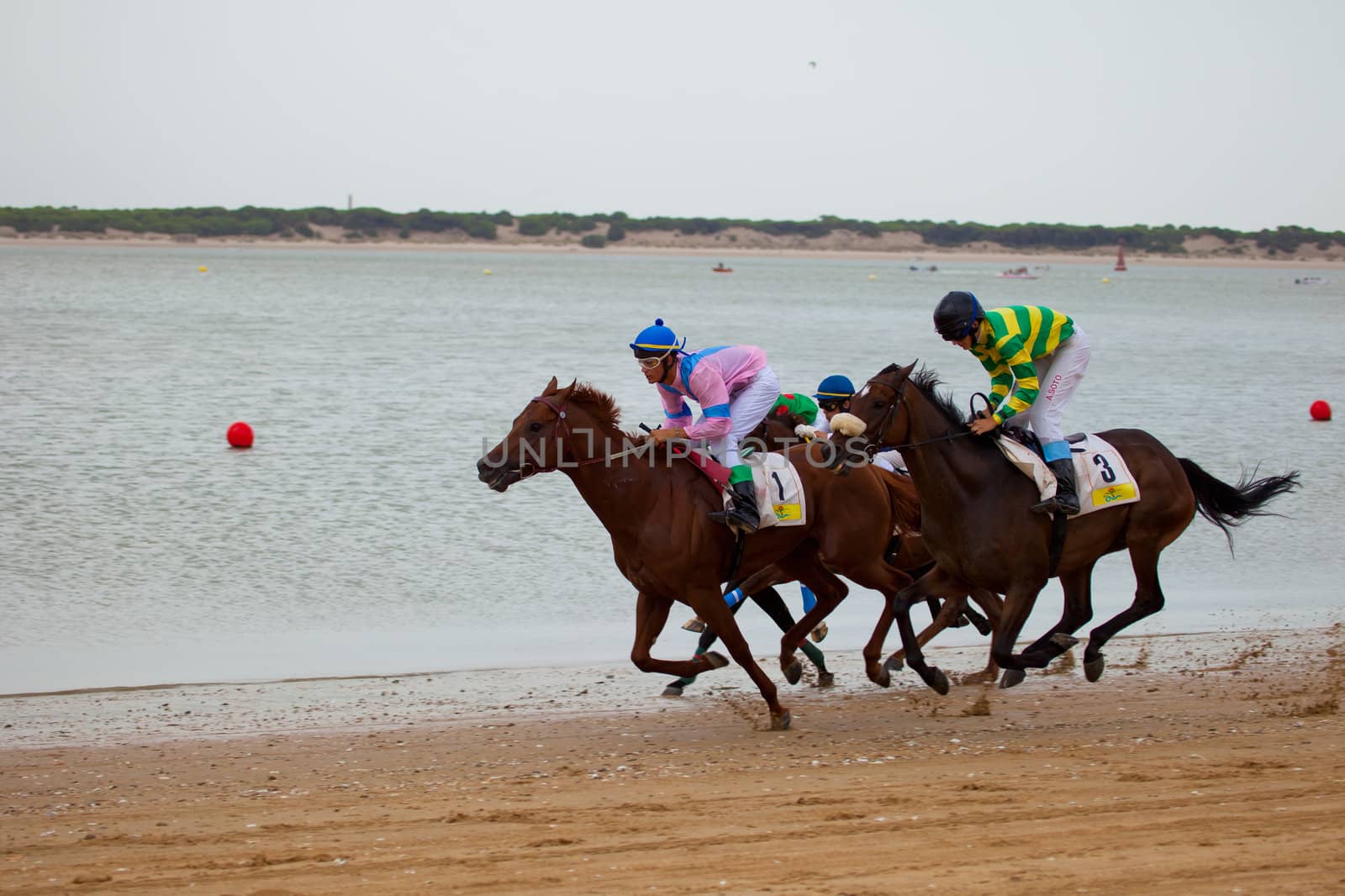 SANLUCAR DE BARRAMEDA, CADIZ, SPAIN - AUGUST 07: Unidentified riders race horses on Sanlucar de Barrameda beach on August 07, 2010 in Sanlucar de Barrameda, Cadiz, Spain.