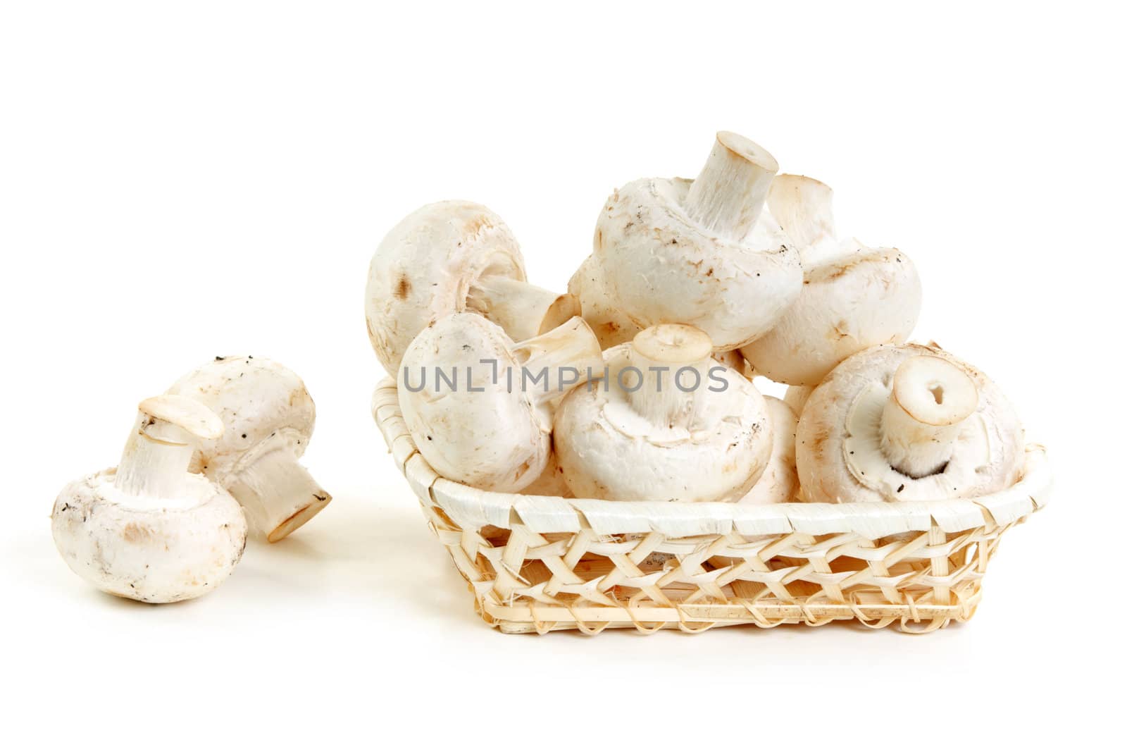 Mushrooms champignon in wooden basket on white background