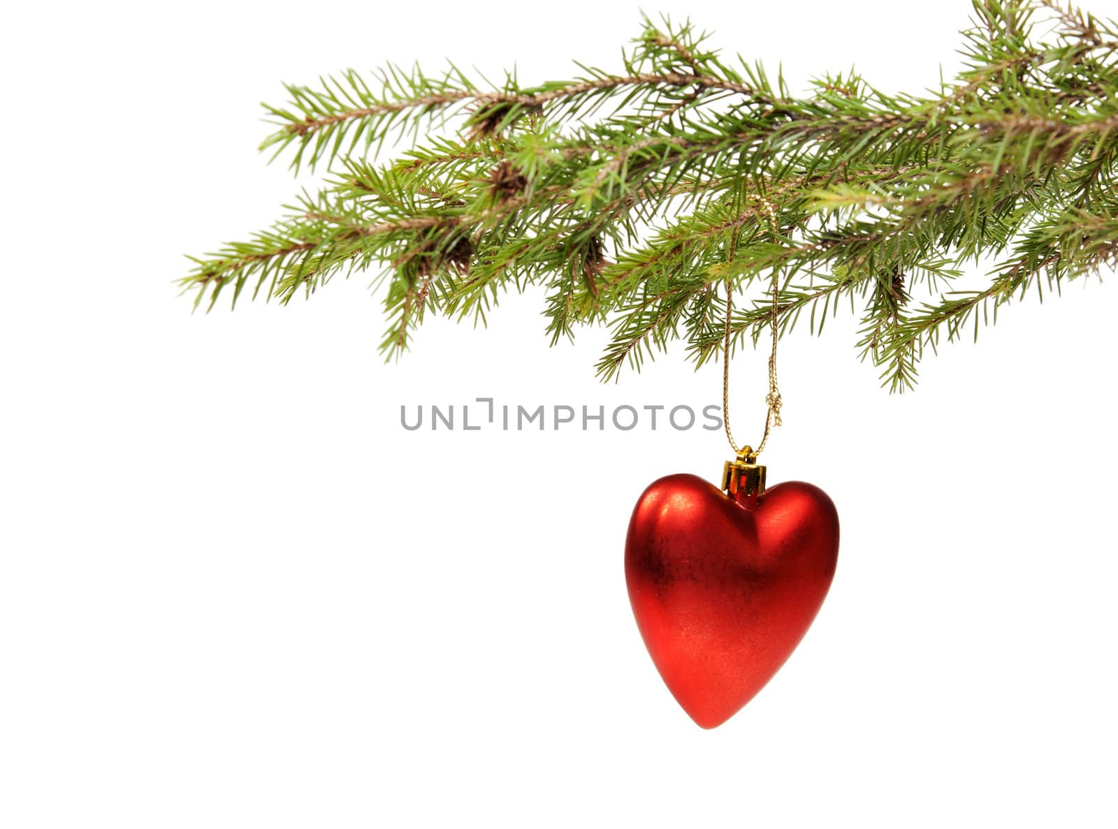 Branch ate a Christmas ornament in the form of red hearts