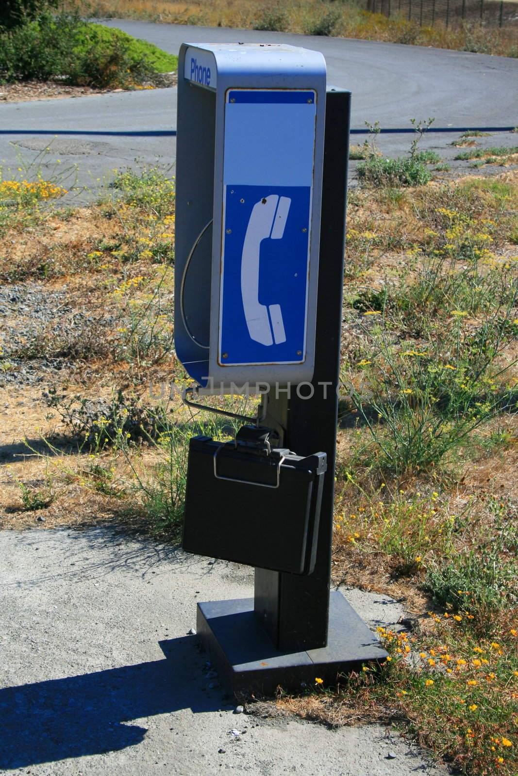 Close up of a phone booth in a park.
