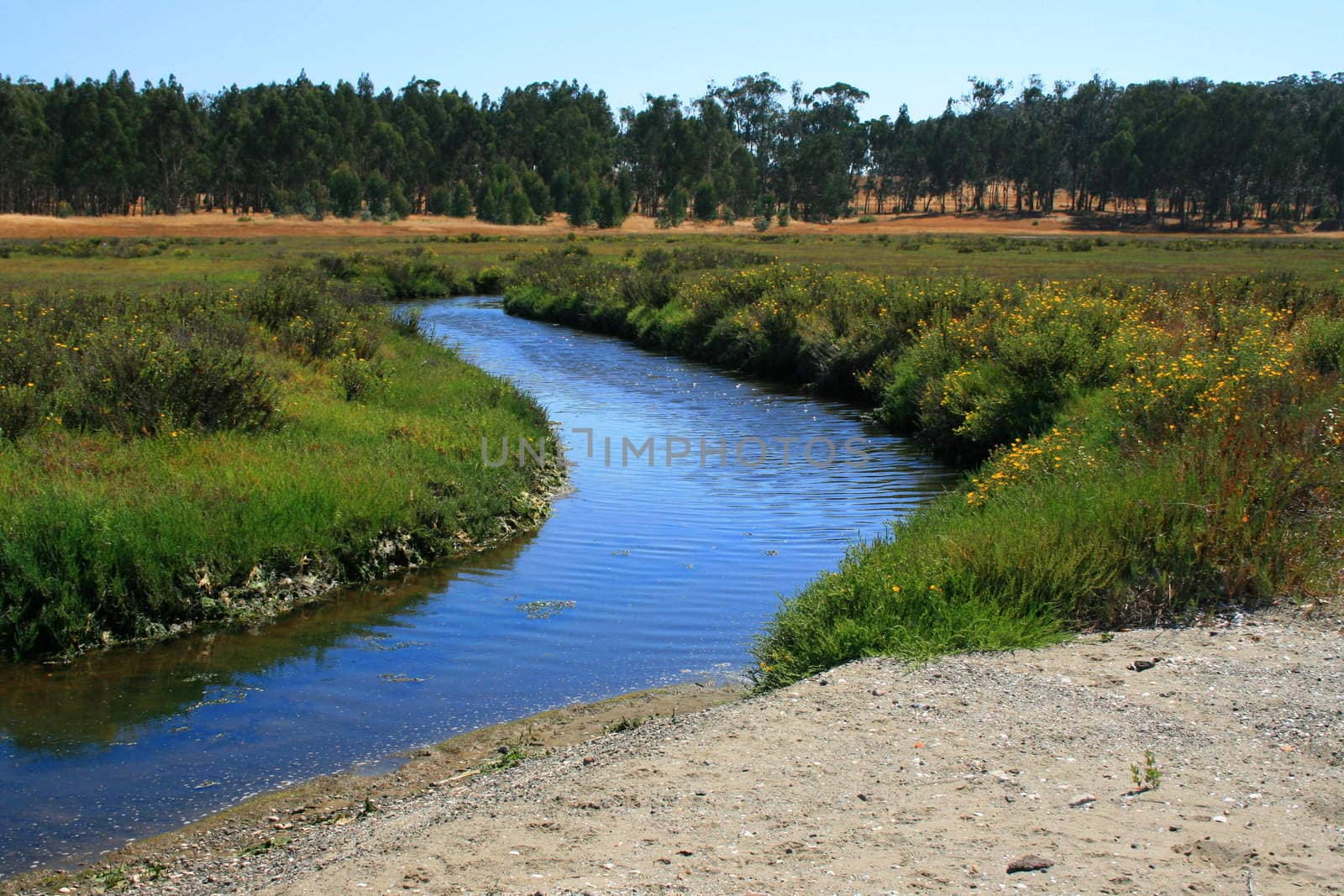 River in a park on a sunny day.
