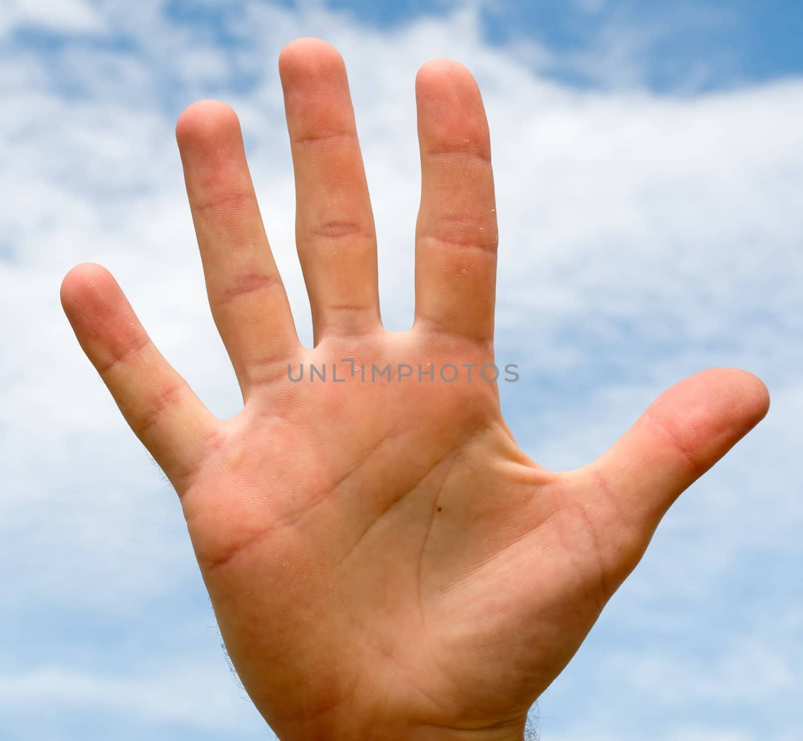 Five. Human hand on a blue sky