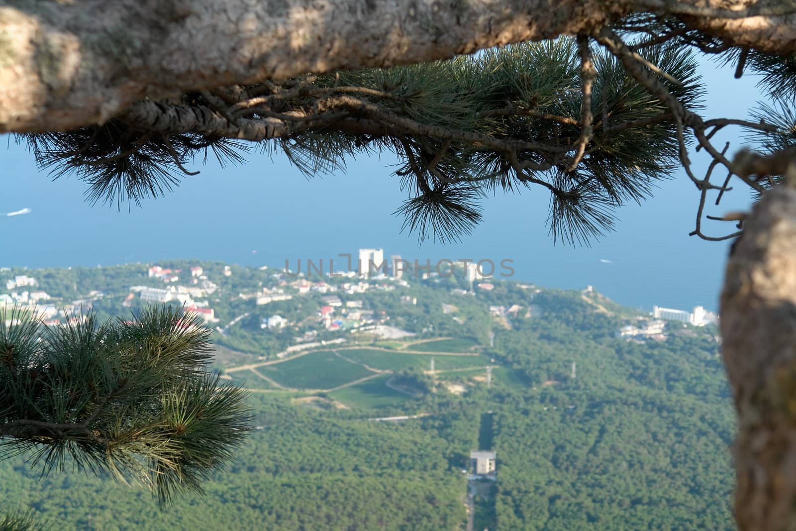 Yalta city. the panoramic view on top.