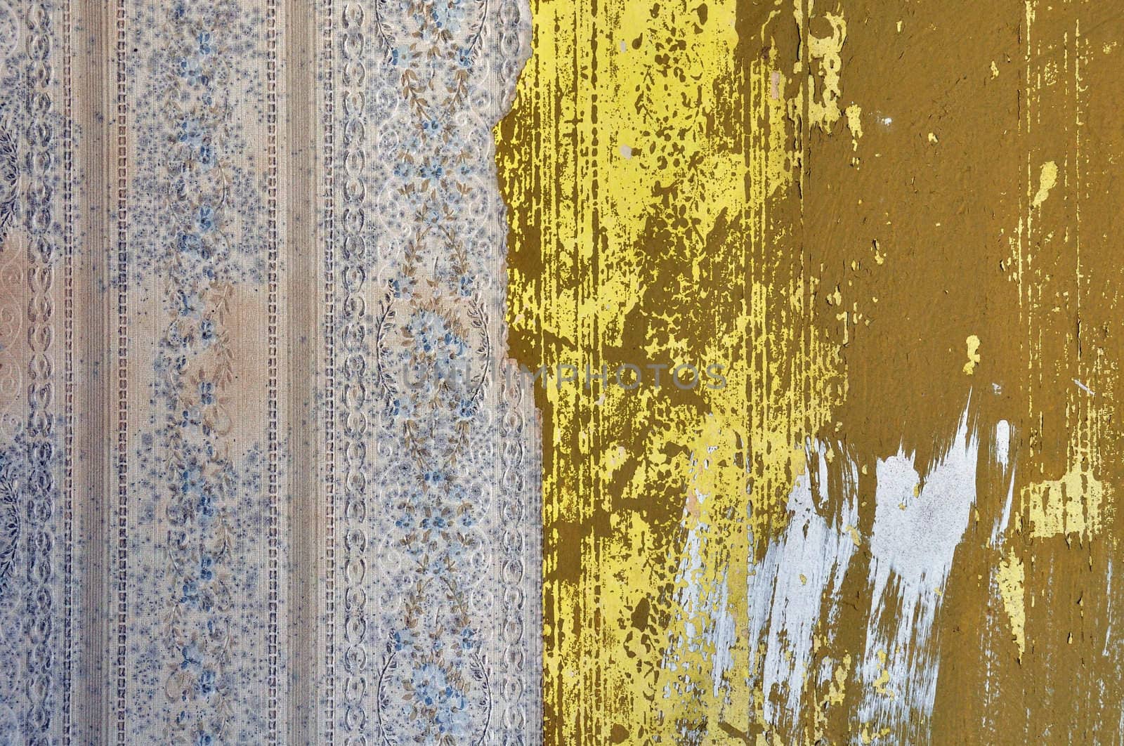 Vintage torn wallpaper with leafy floral motif imprint on chipped paint wall.