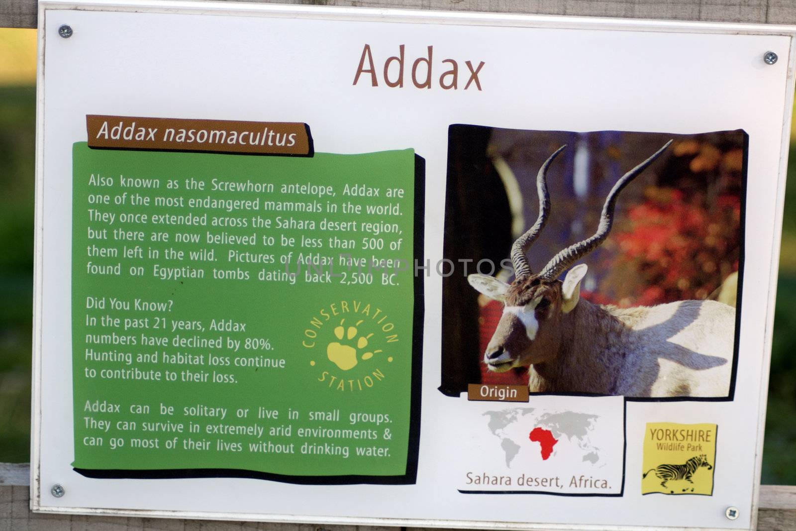 addax information