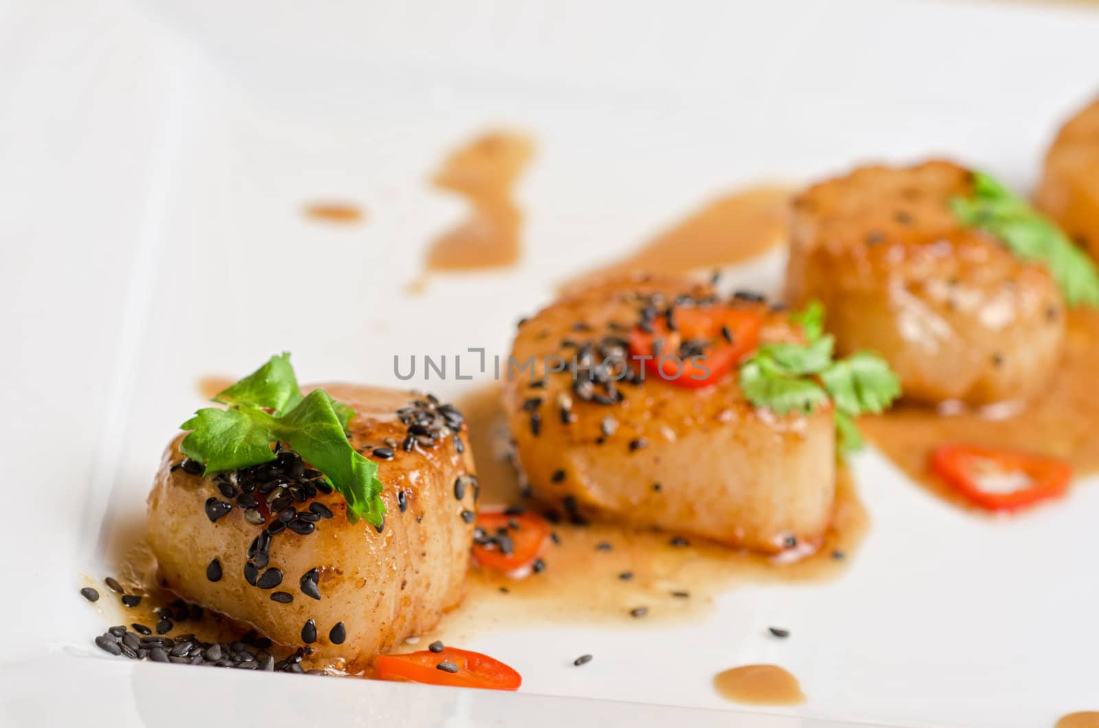 Close up Scallop seafood appetizer with spices