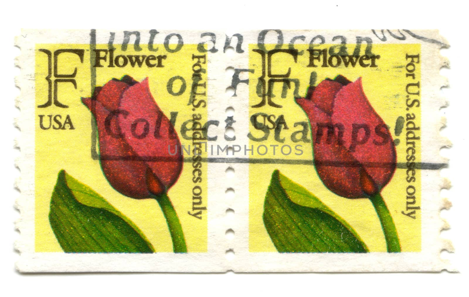 Old postage stamps from USA flowers Tulip