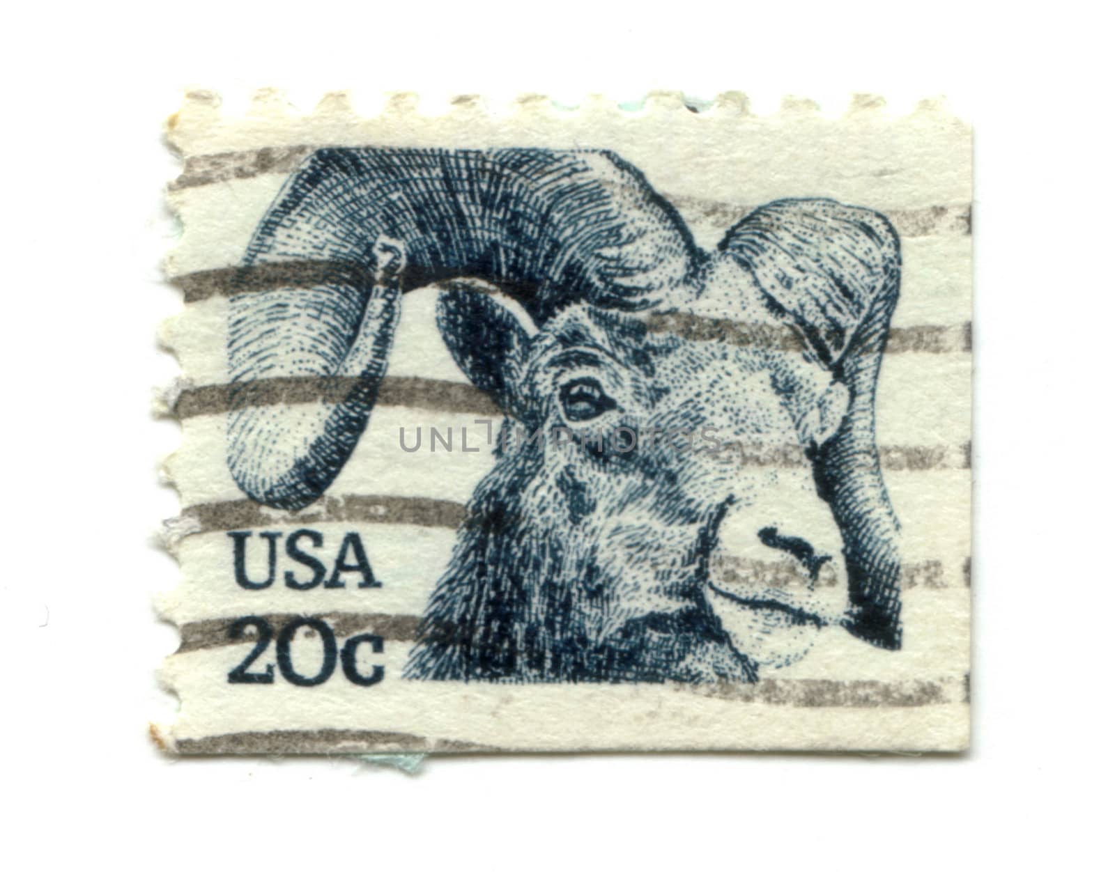 old postage stamp from USA with Goat 
