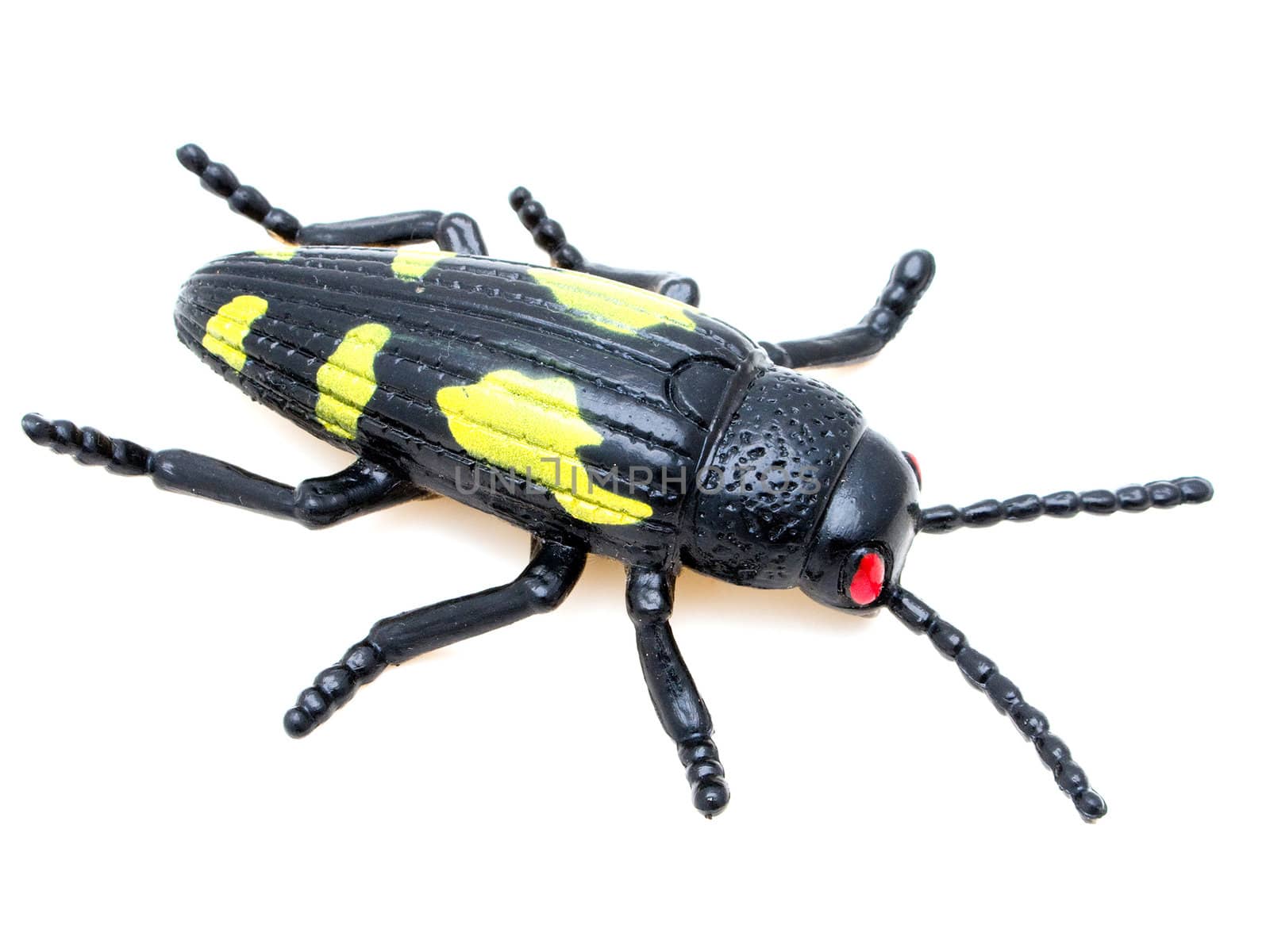 Animal insect beetle or bug toy isolated on white