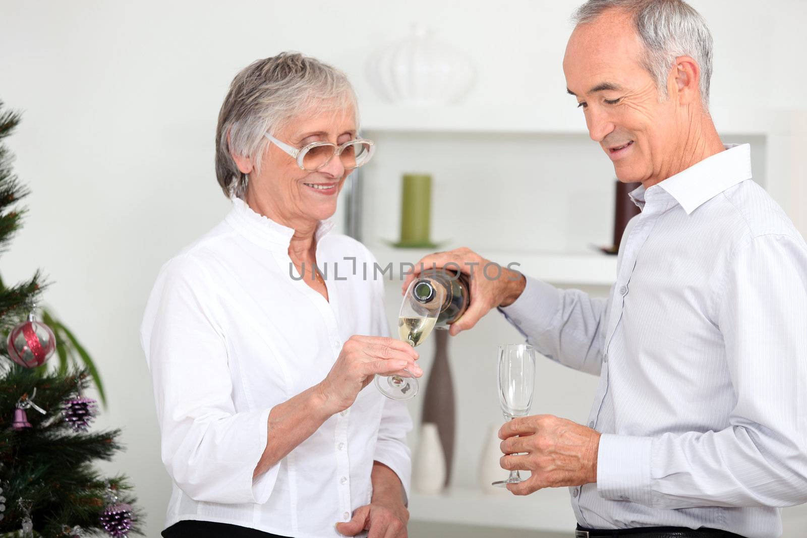 Older couple drinking champagne