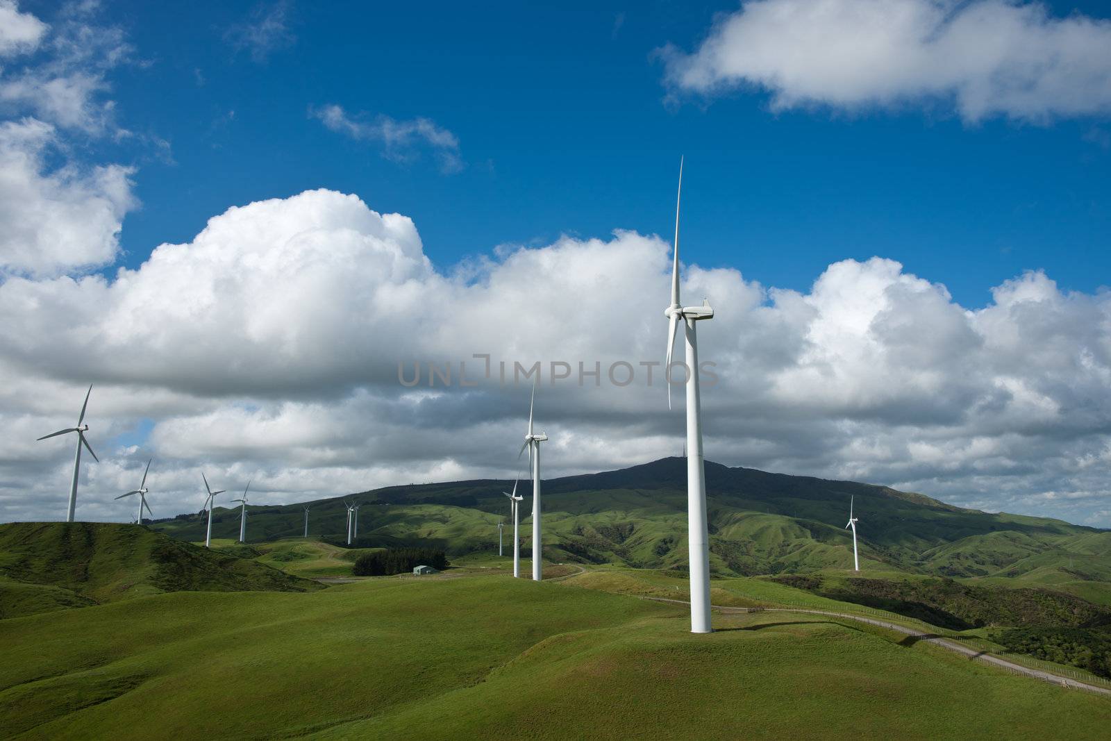 Wind turbines on rural New Zealand land.