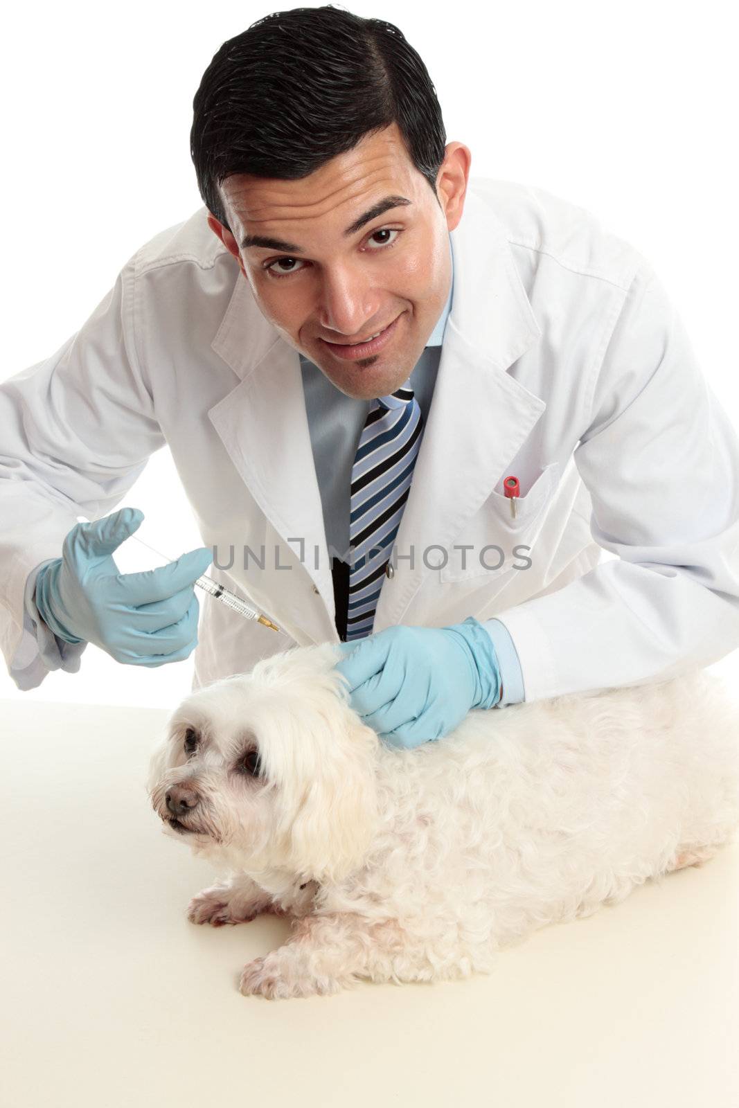 A vet treating a sick animal.  He is looking up with a friendly smile.  