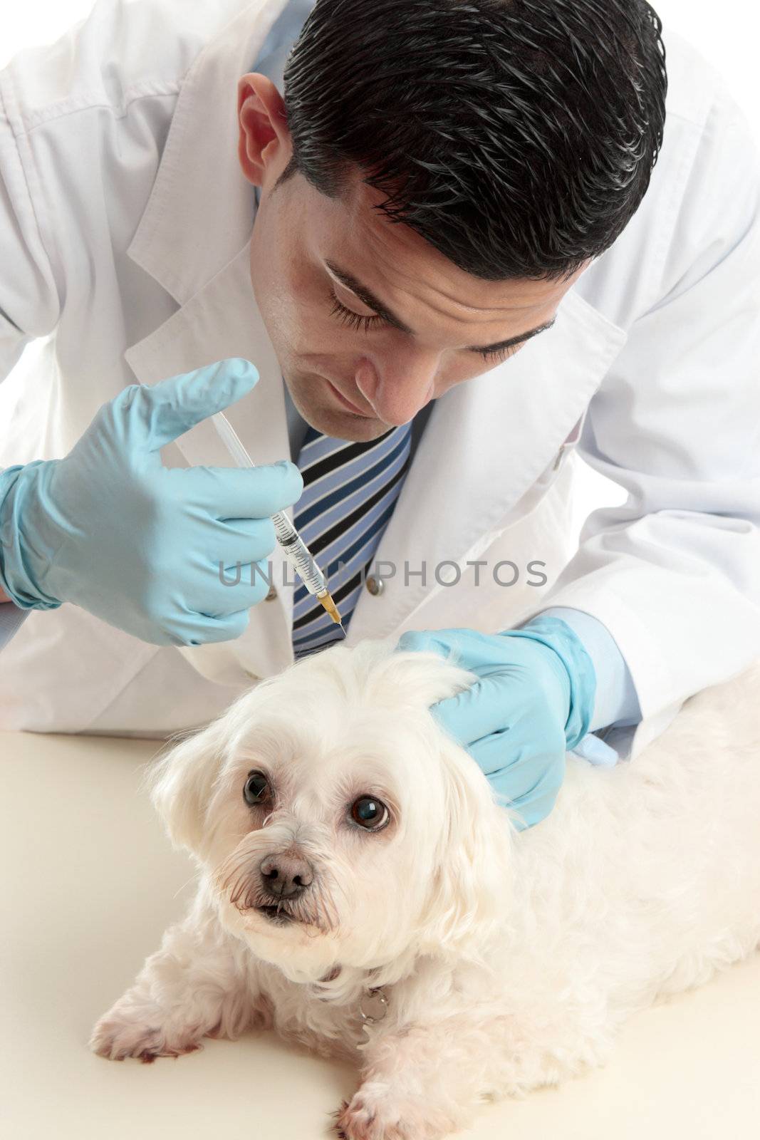 A male vet inserting a needle syringe into the back scruff of a pet dog's neck