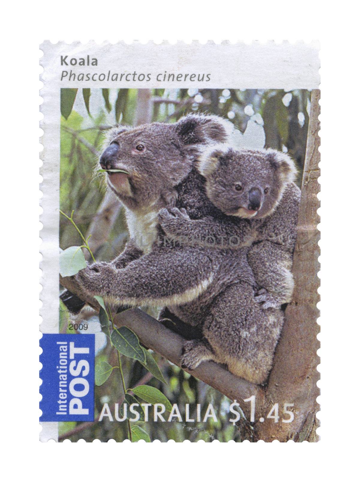 Koala bear Stamps, Australia