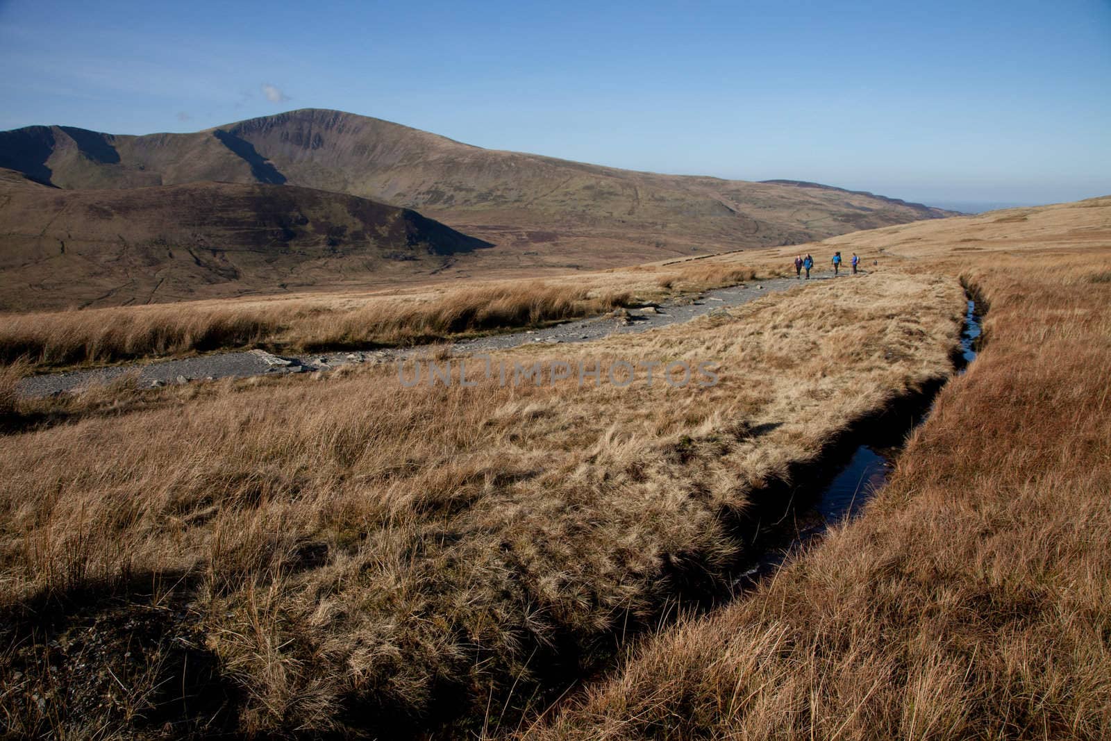 Land management with a drainage ditch running next to a footpath on marshland with mountains in the distance.