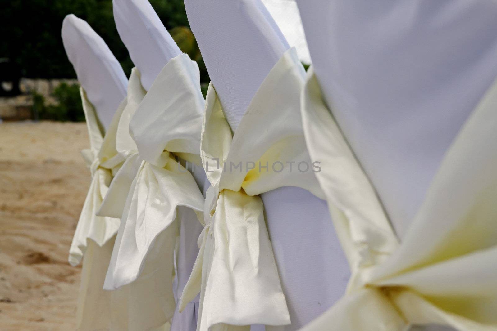 Ribons on chairs laid out for a tropical wedding