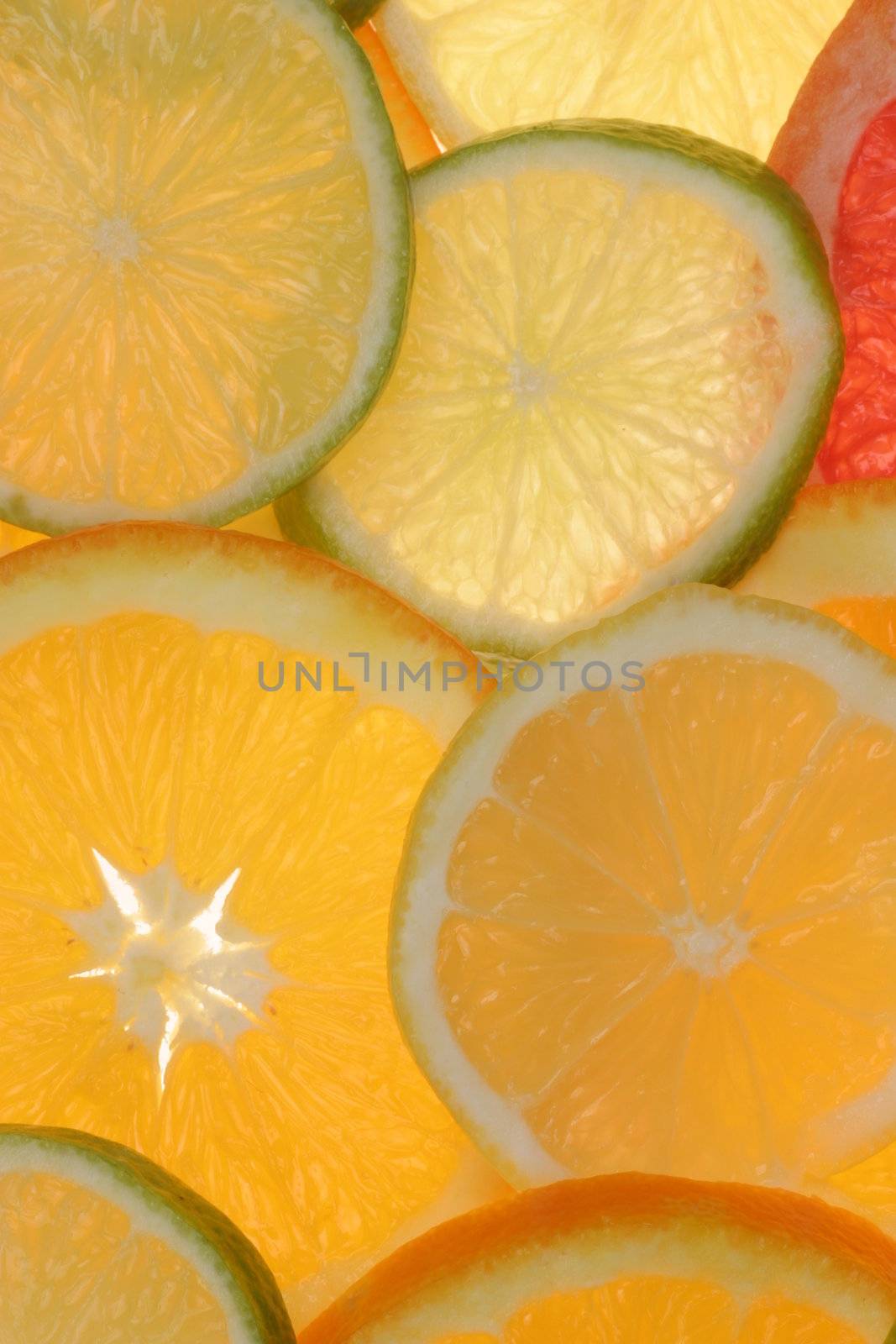 citrus fruits in slices.