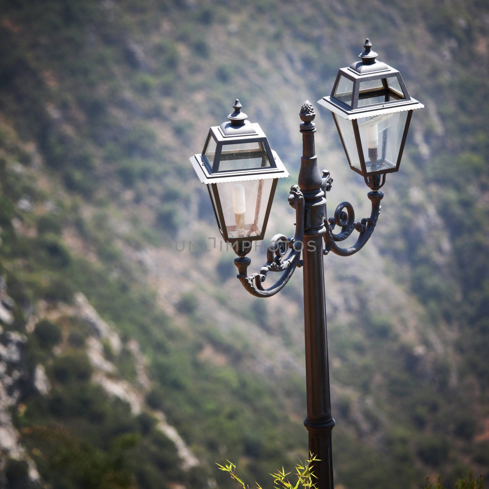 lantern in park  sea on back