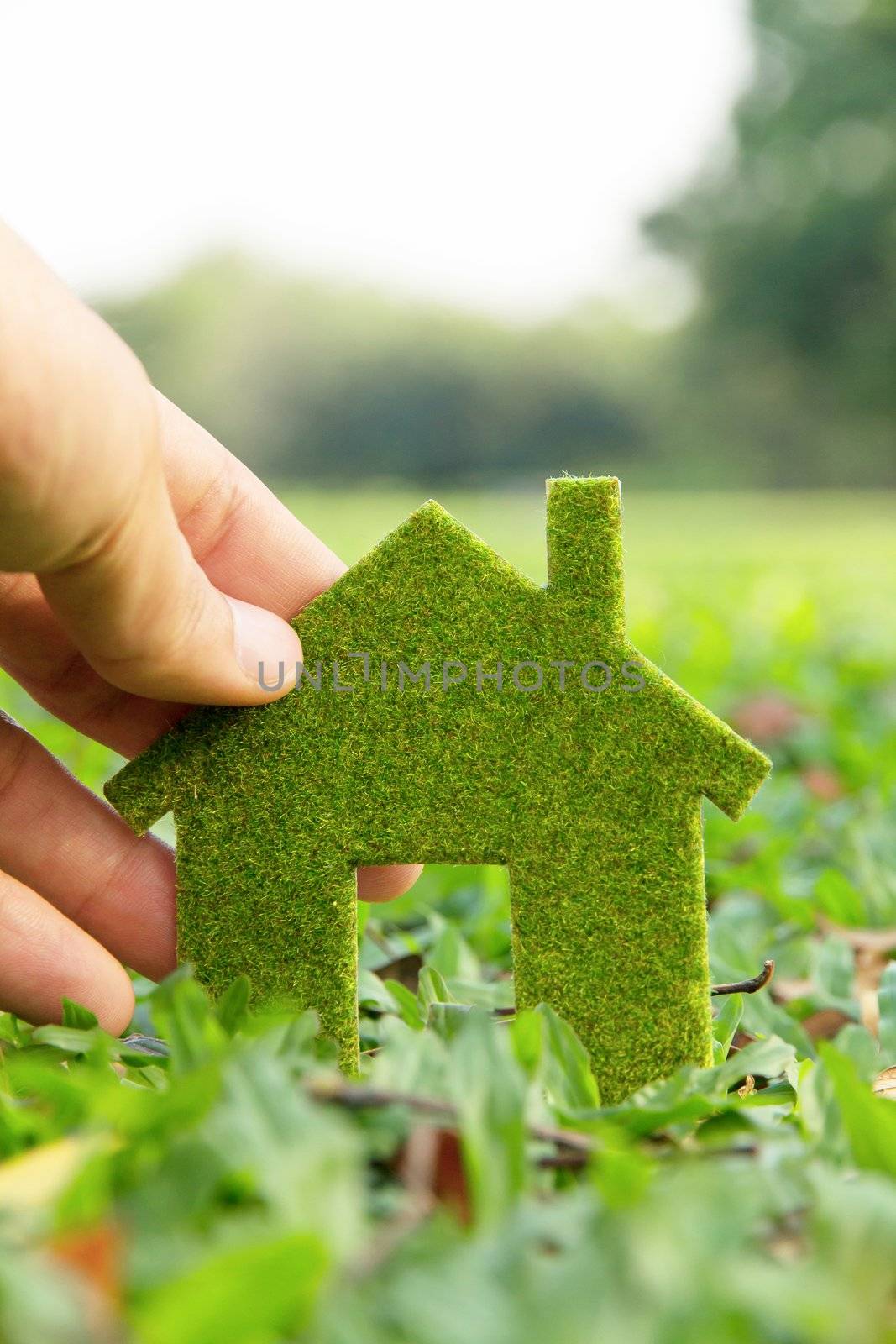 Hand holding eco house icon concept