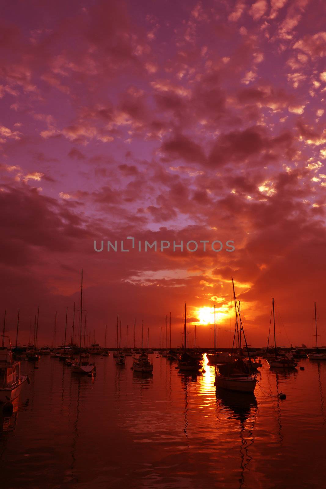 Yachts on calm water with golden reflection of the sun.