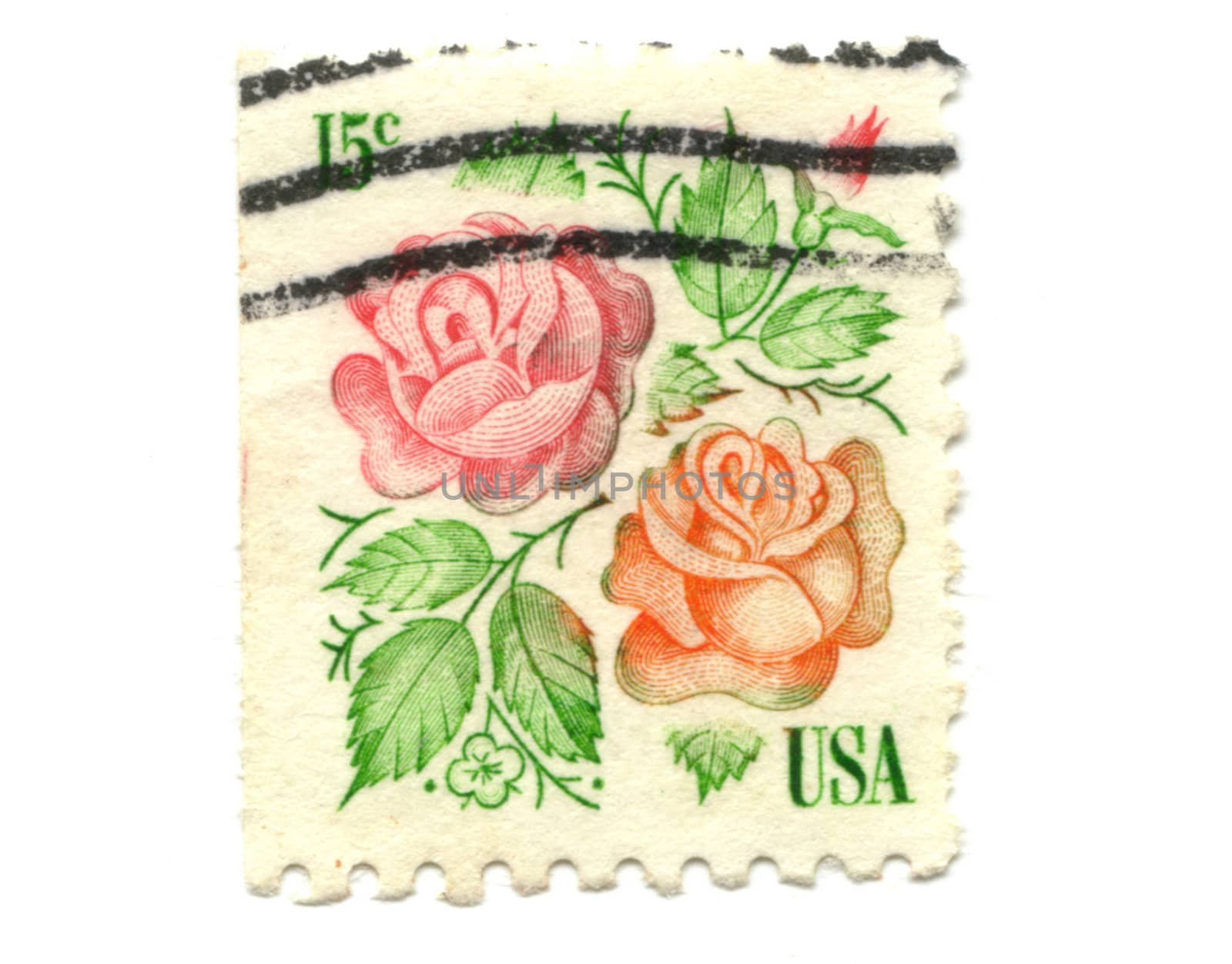 US postage stamp on white background 15c - Rose
