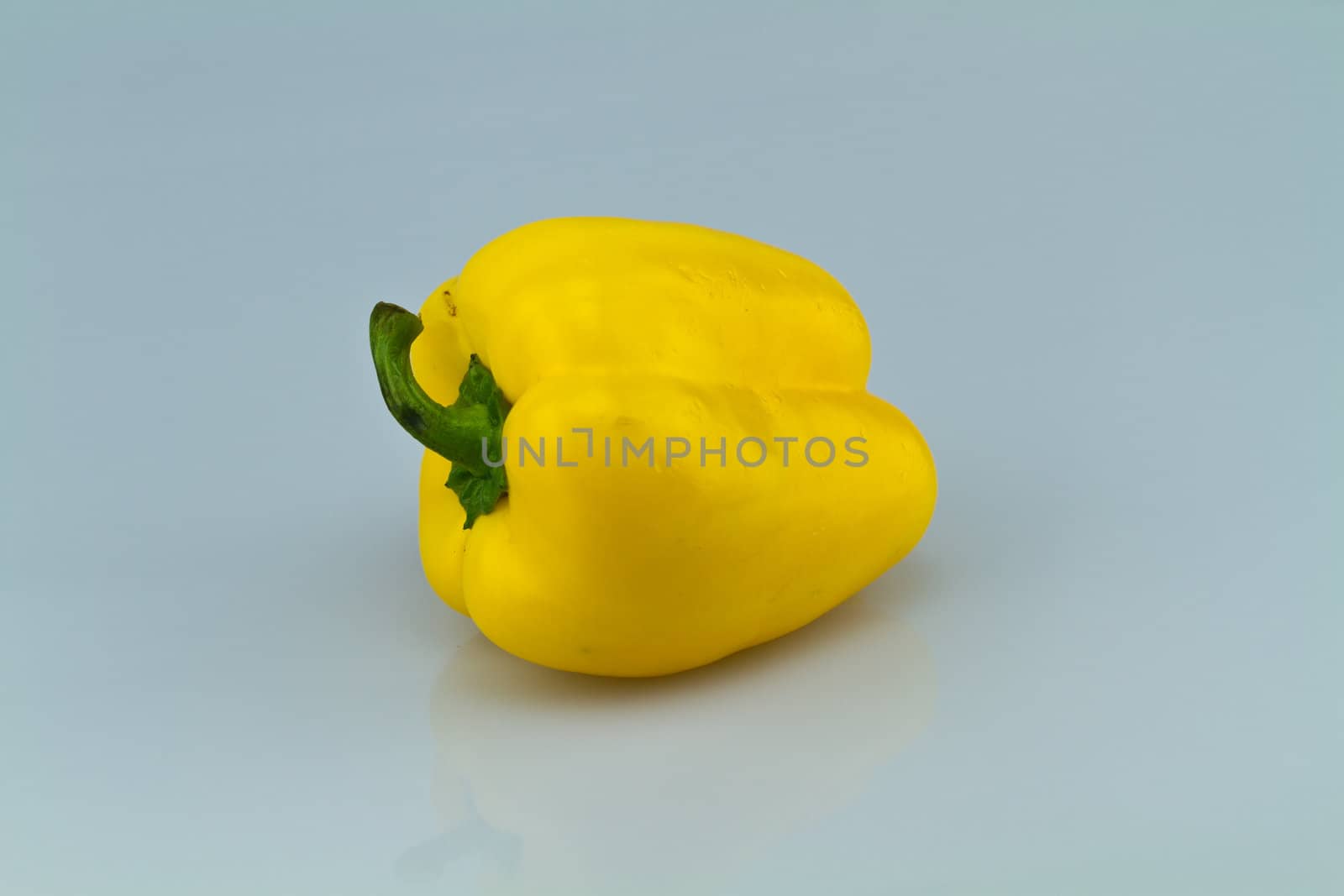 yellow capsicum isolated on bluish background
