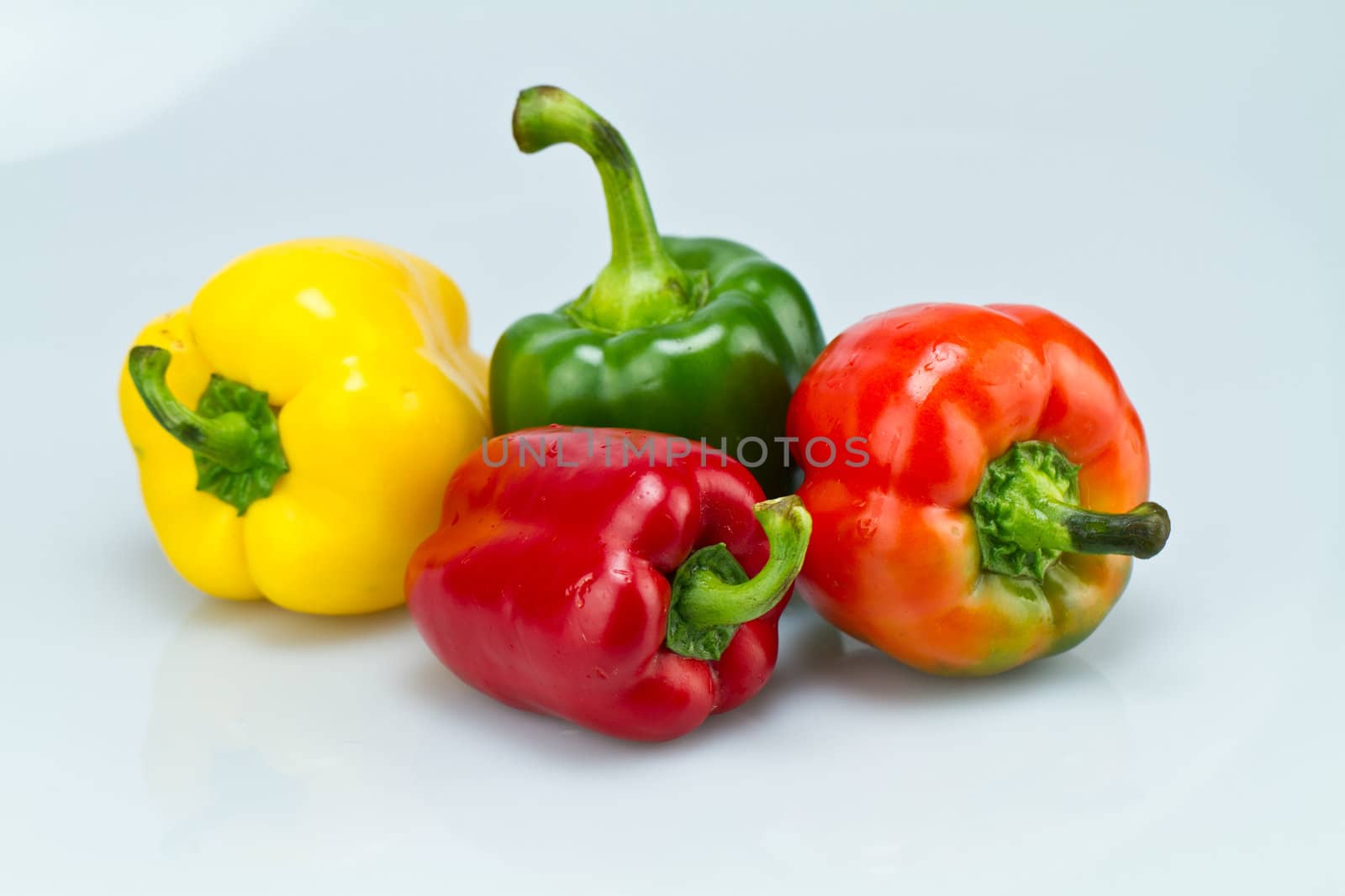 Four different colors capsicums on bluish background in landscape orientation