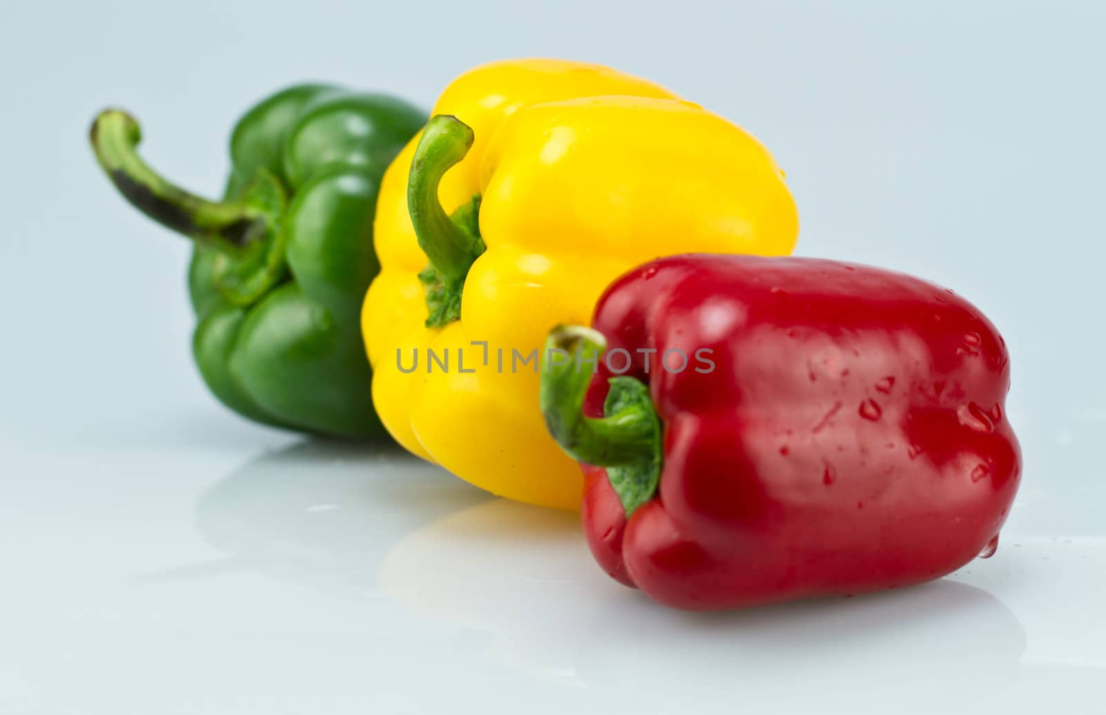 Three color whole capsicums with water droplets on bluish surface and background