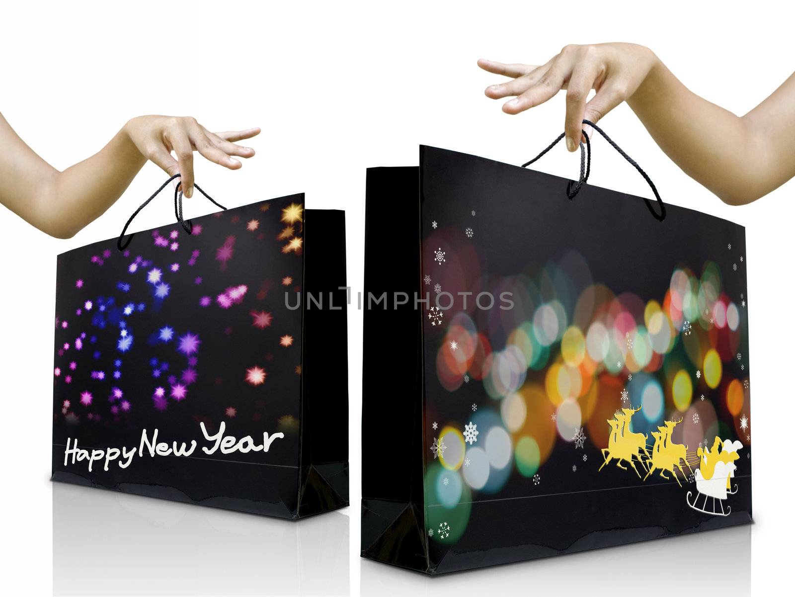 Women pick up the christmas and new year shopping bag, Holiday gift concept