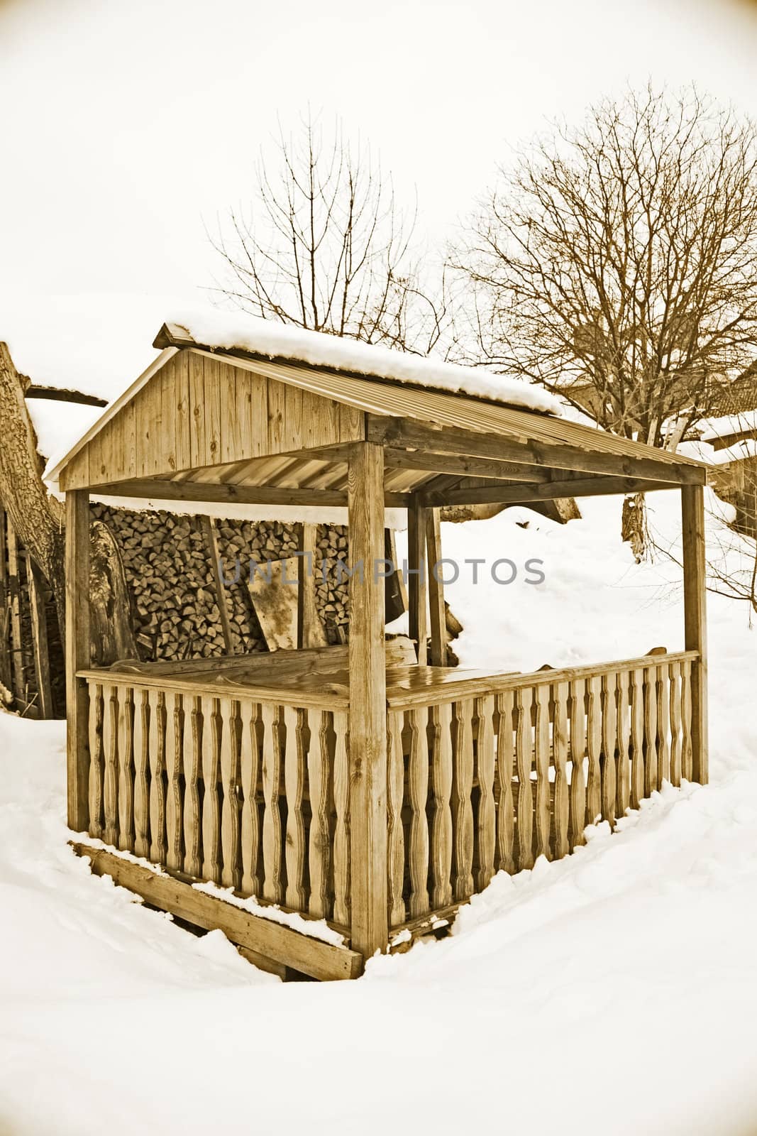 Rural outdoor arbor in winter, vintage photo