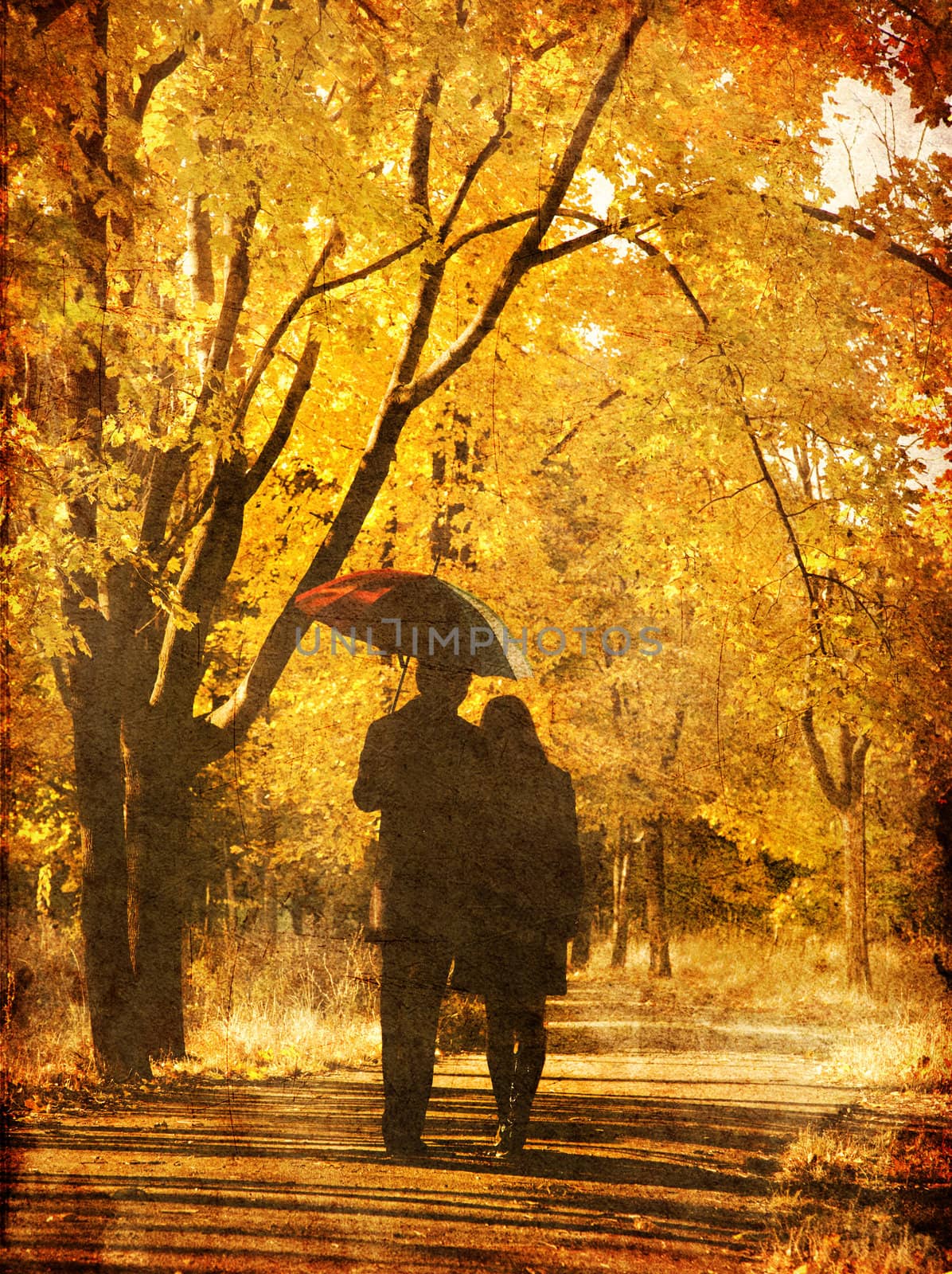 Couple walking at alley in autumn park. by masson