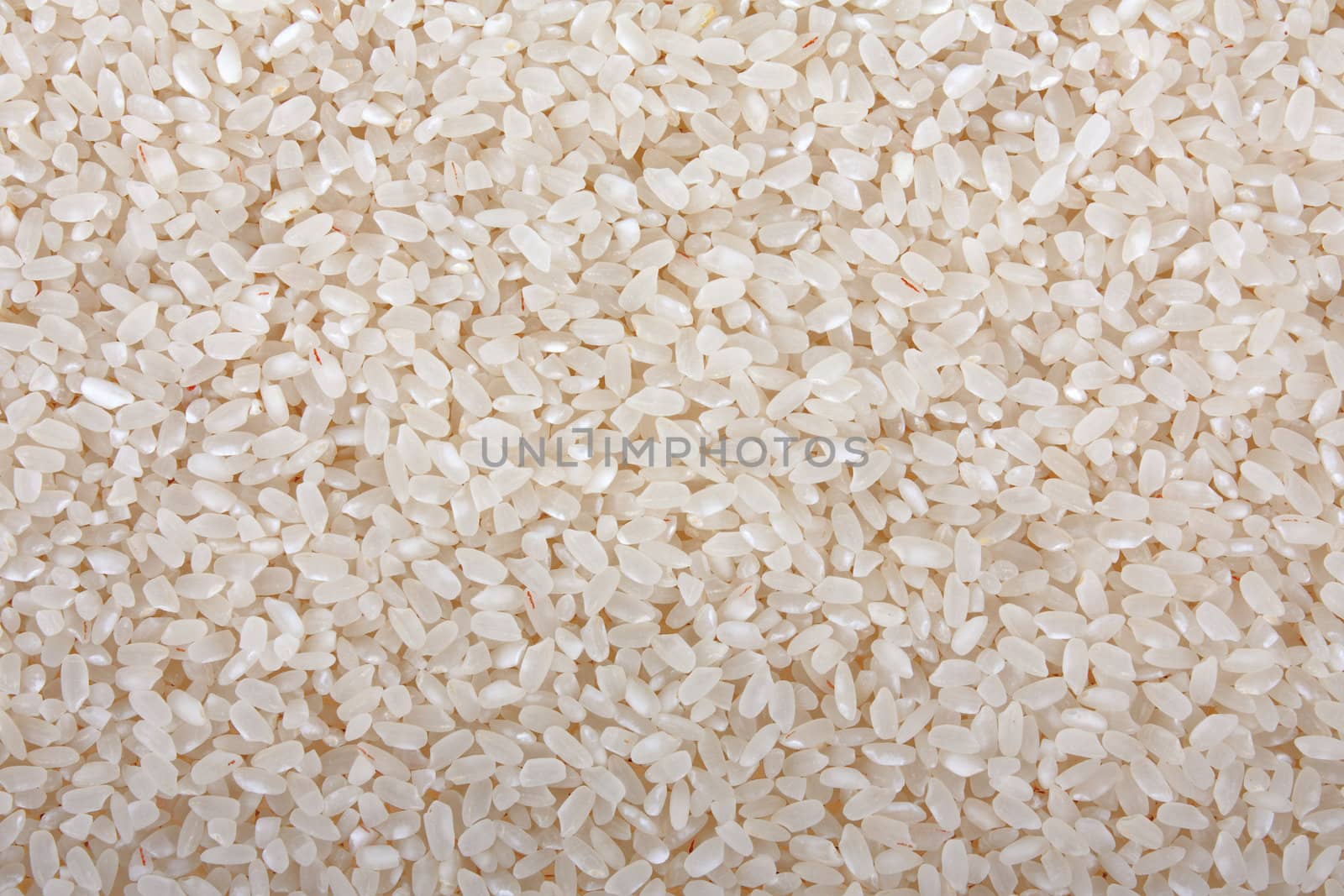 Healthy eating cereal food - raw white asian rice