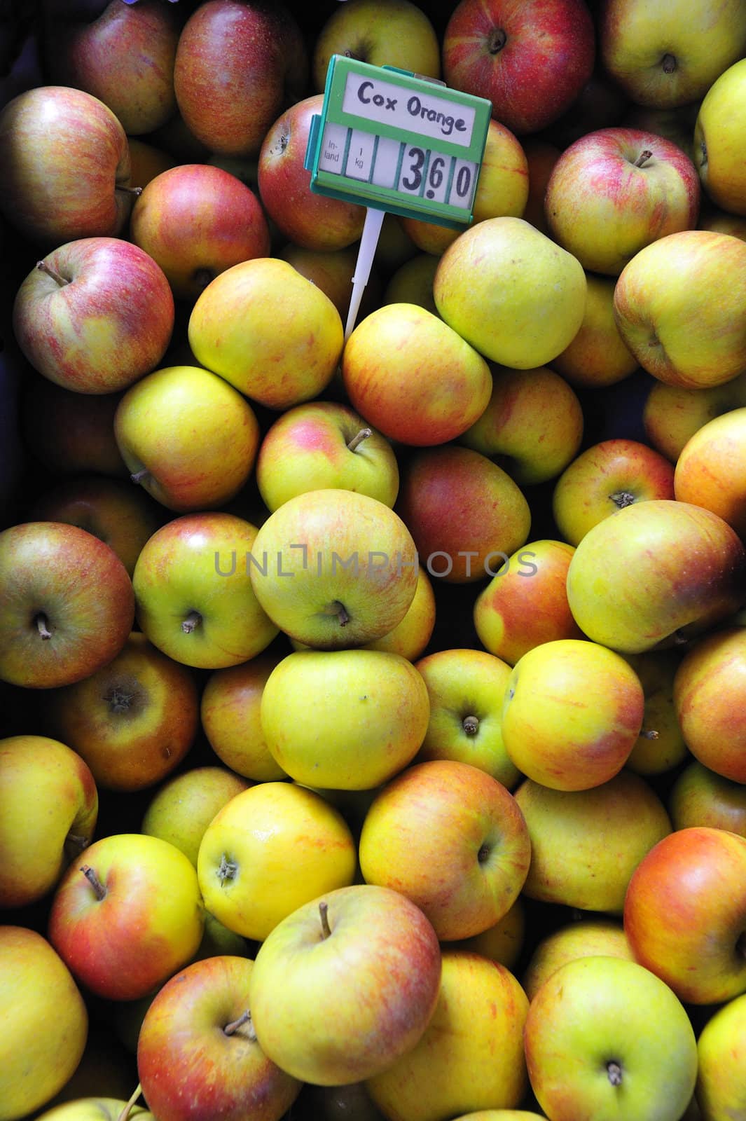 Cox's Orange Pippin apples for sale on a market stall, with the price tag
