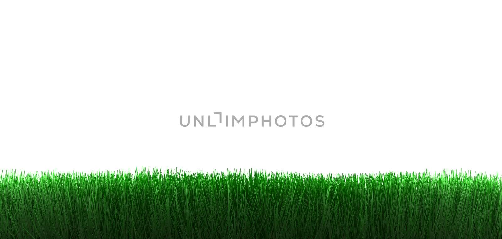 grass on white background by manaemedia