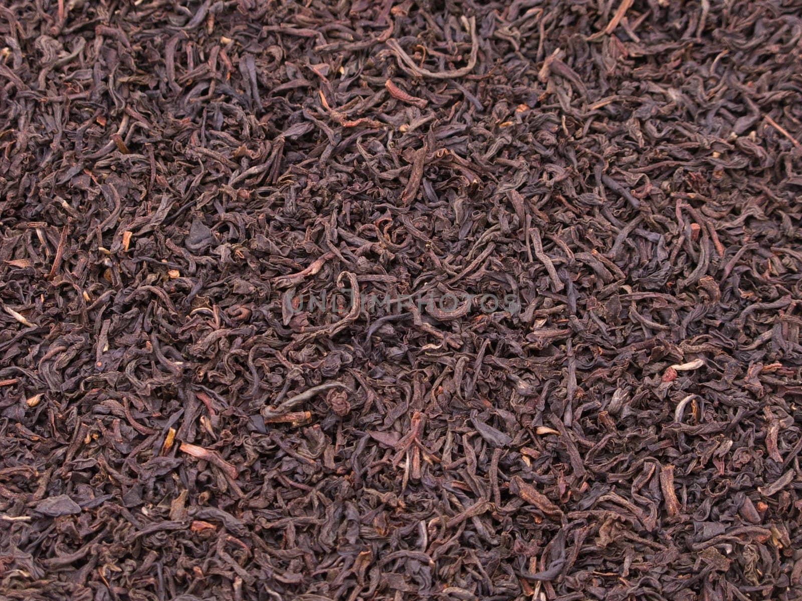 Black tea crop leaf for healthy lifestyle drink