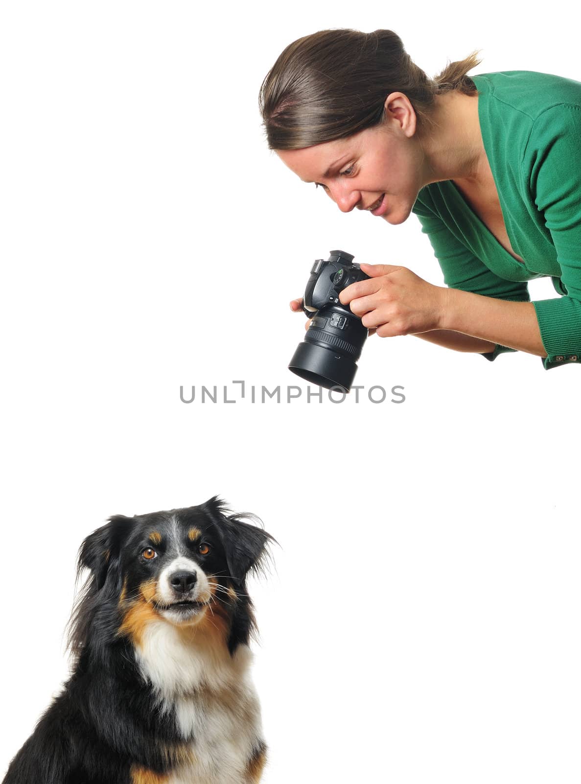 A young woman taking photographs of a dog, isolated on white. Space for text.