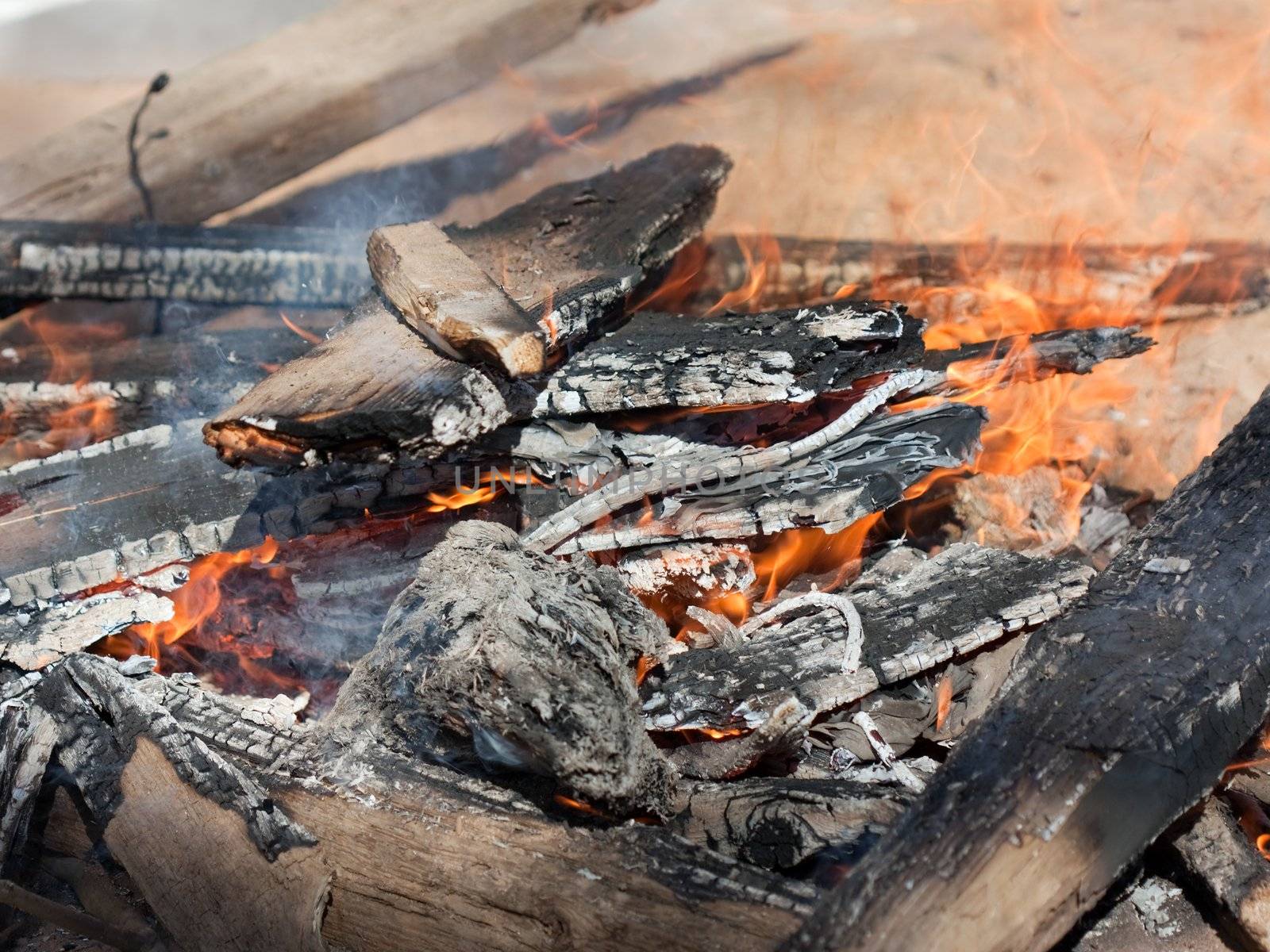 Camping log bonfire fire or burning campfire flame