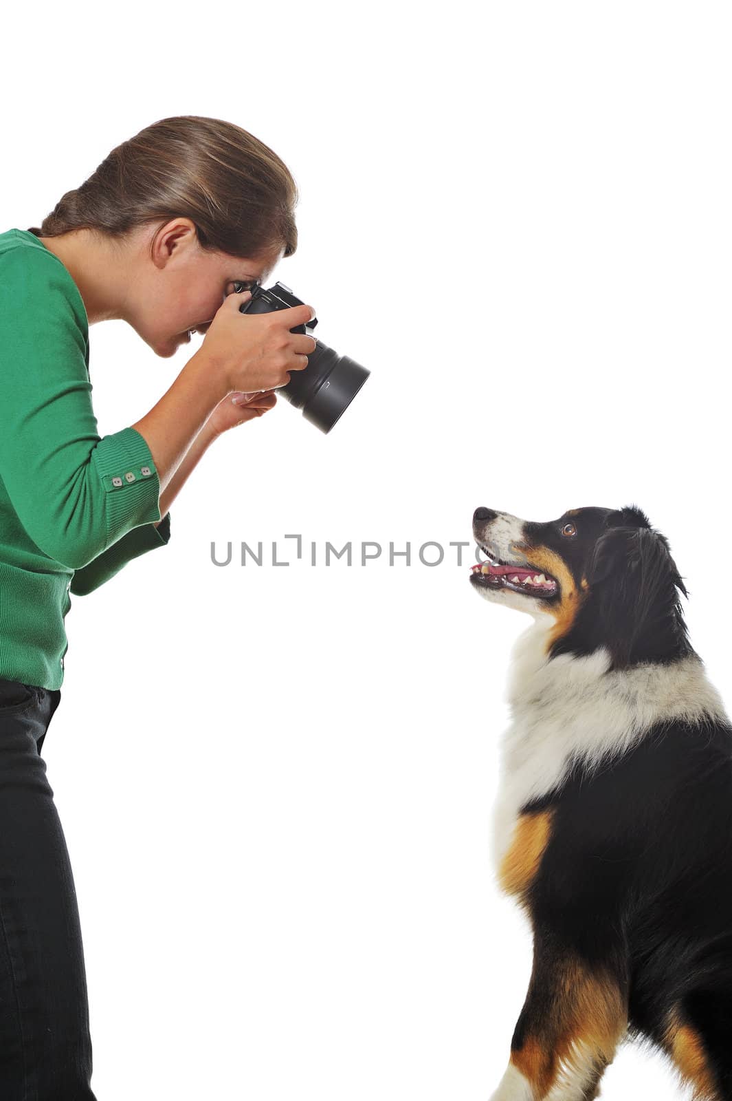 A young woman taking photographs of a willing dog, isolated on white. Space for text.