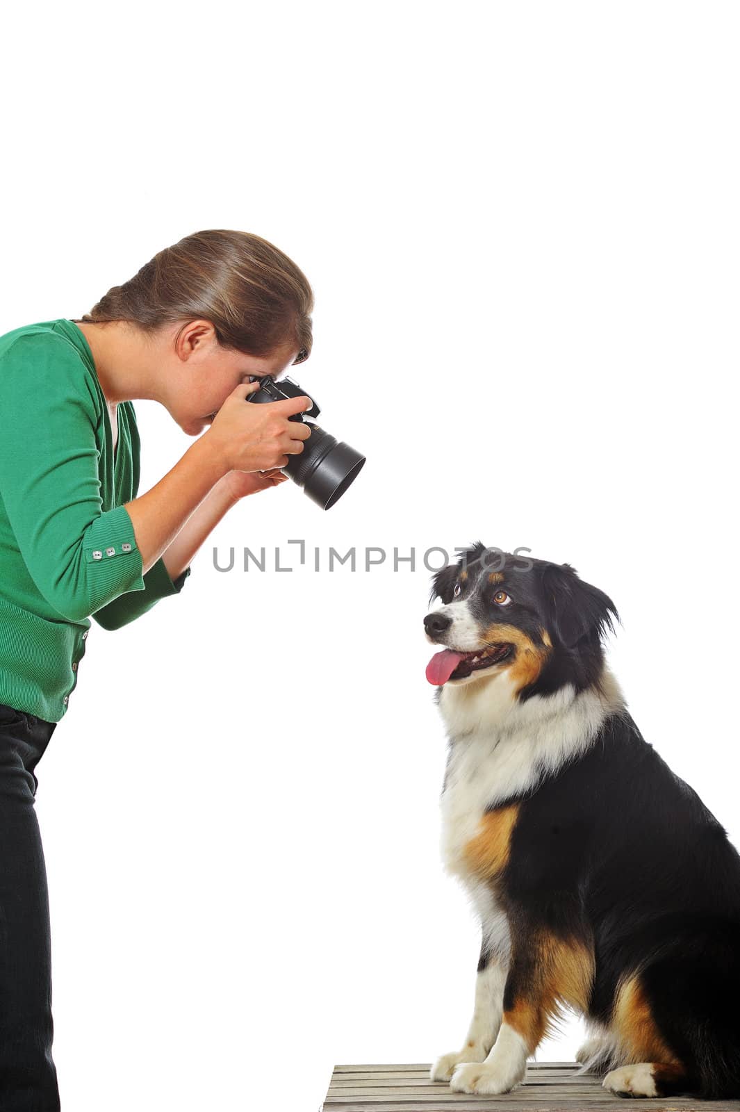 A young woman taking photographs of a willing dog, isolated on white. Space for text.