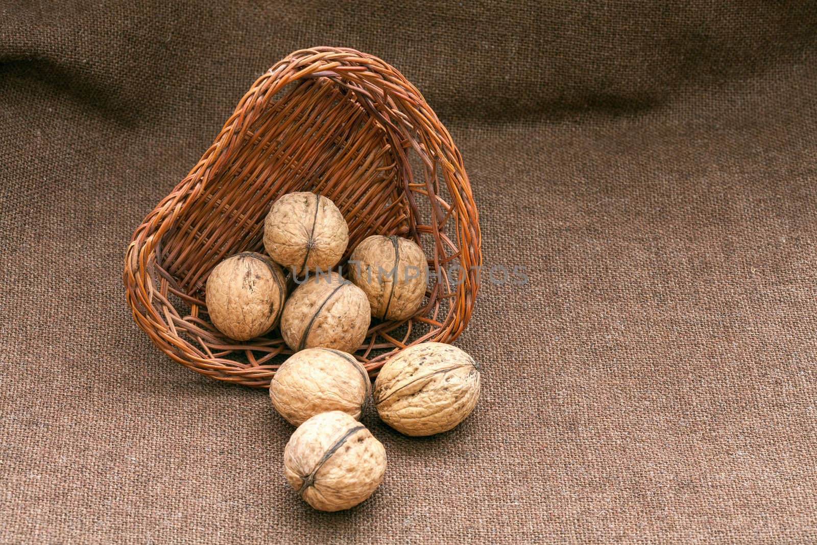 Walnuts in the old wicker basket on burlap