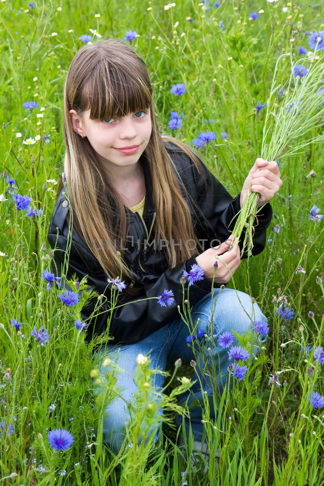 Girl with wild flowers cornflower in the meadow