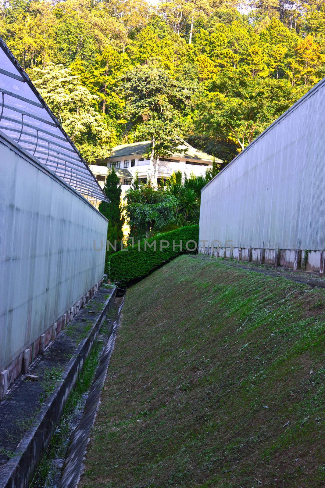 Modern greenhouse in Thailand by sutipp11