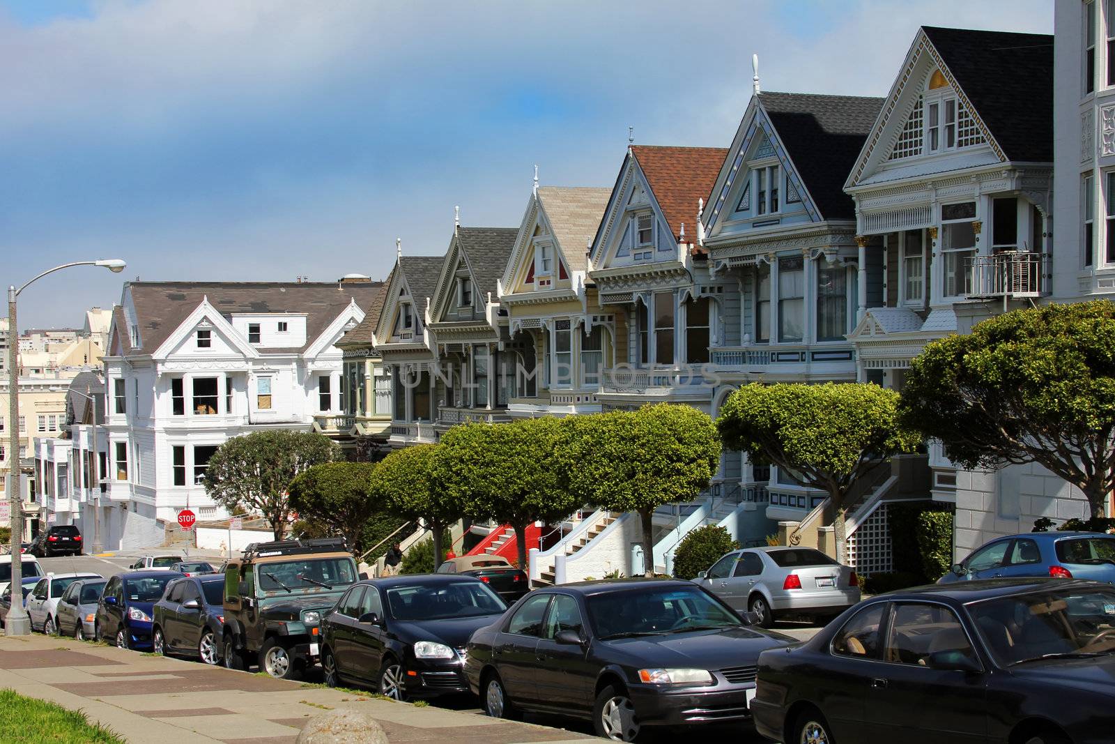 View to San Francisco with Alamo Square