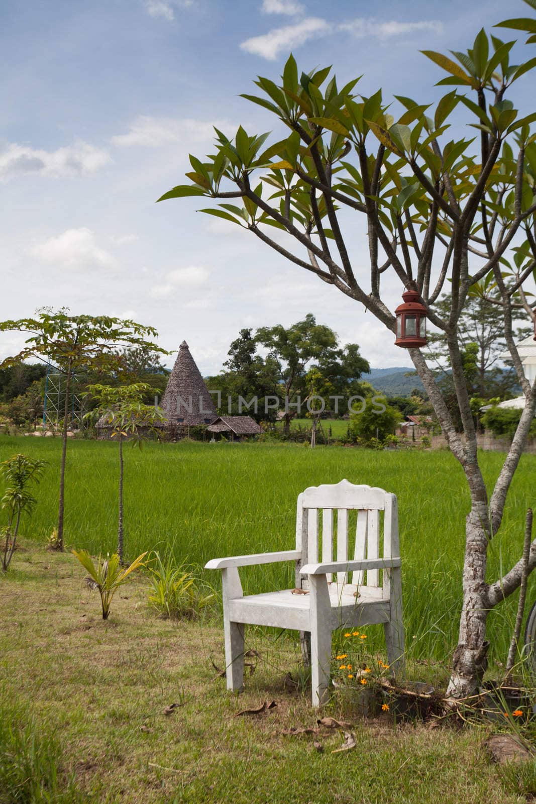 The white chairs. Located on the side of the field.