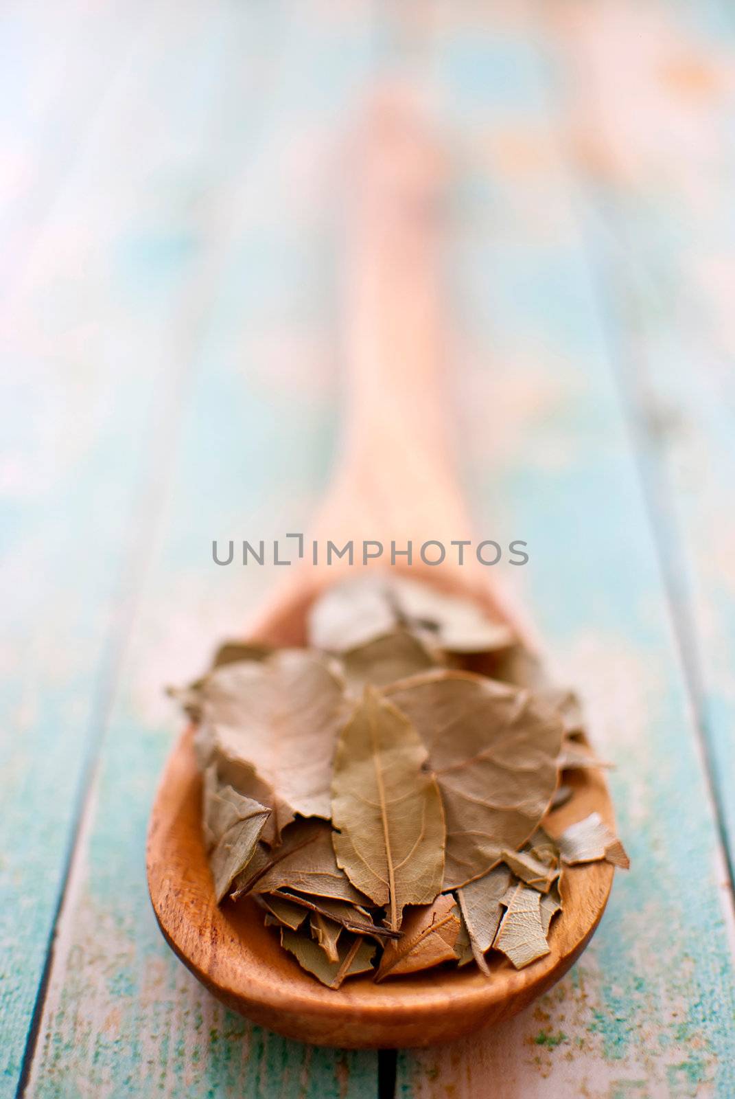 bay leaves in wooden spoon over wood background - selective focus