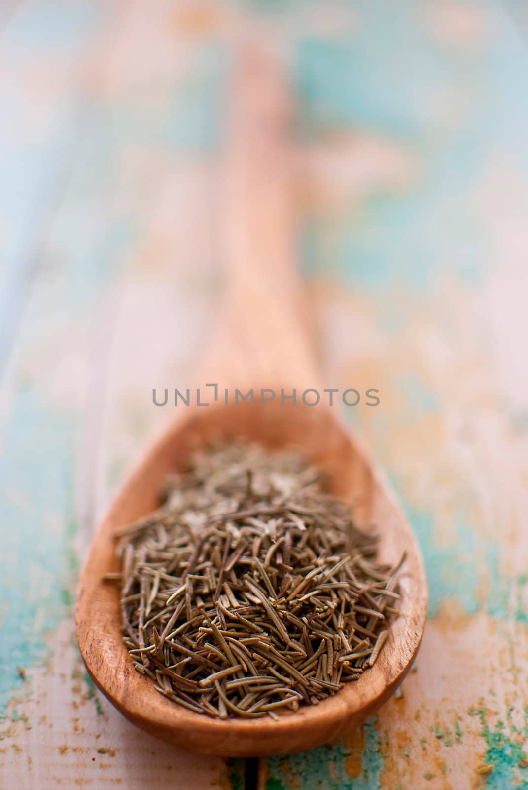 rosemary spice in wooden spoon over wood background - selective focus